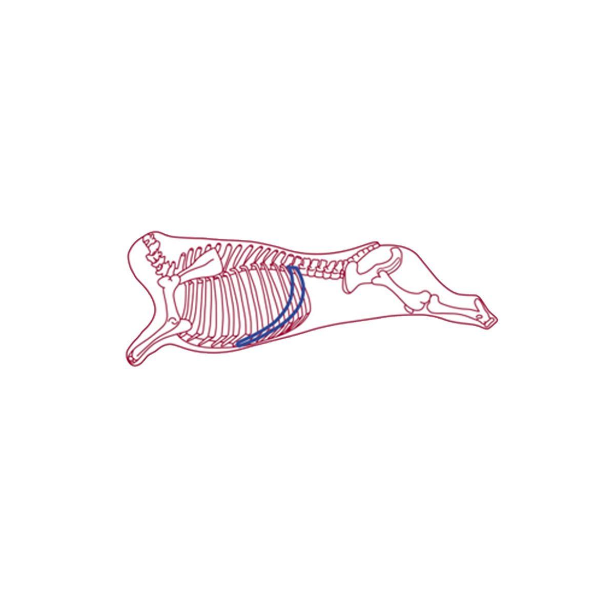 Home Range Pet Treats - Skirt Steak Bar (6")