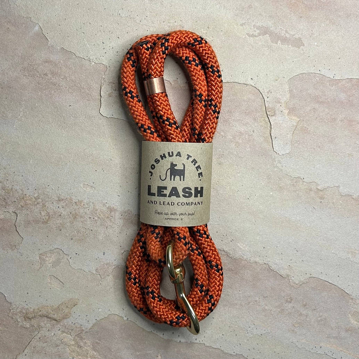 Joshua Tree Leash & Lead - Carving Pumpkins