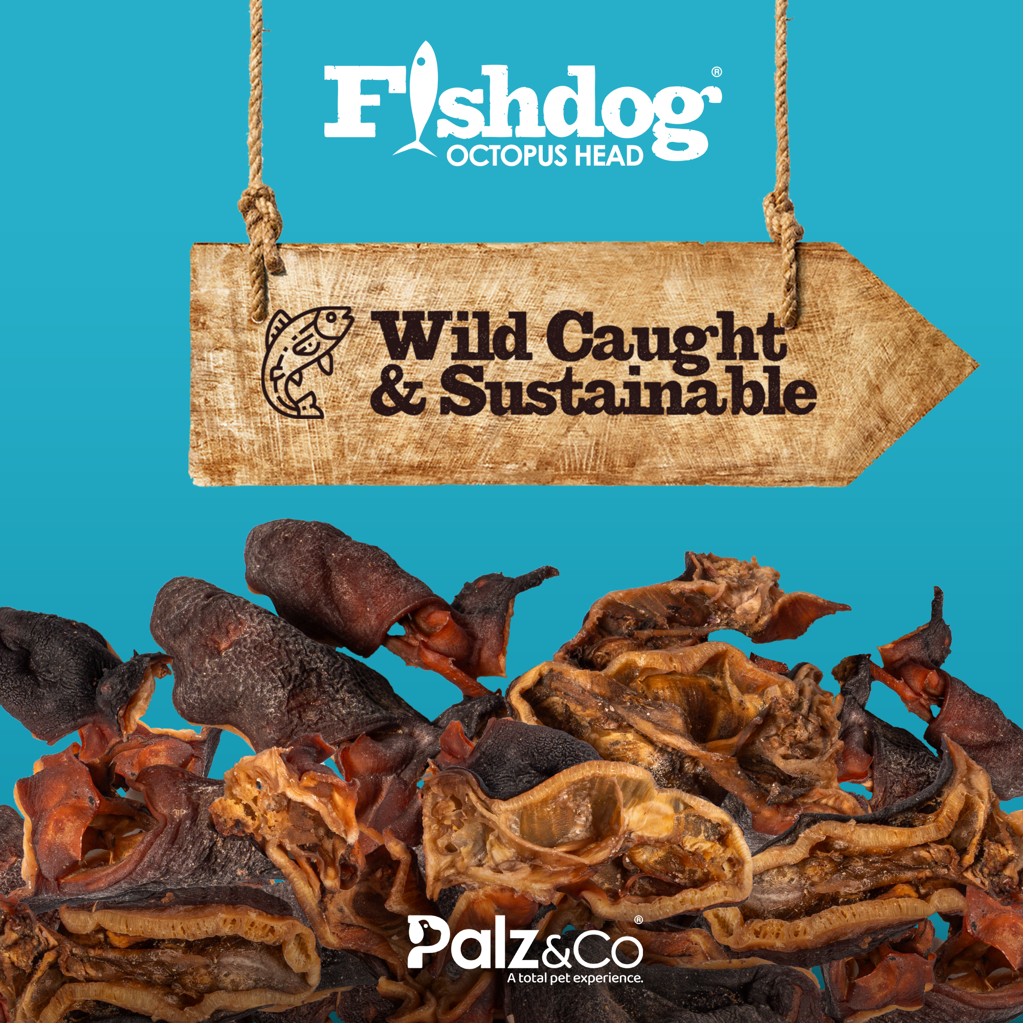 Palz&Co - Fishdog Octopus Head - 3.5 oz (100g)