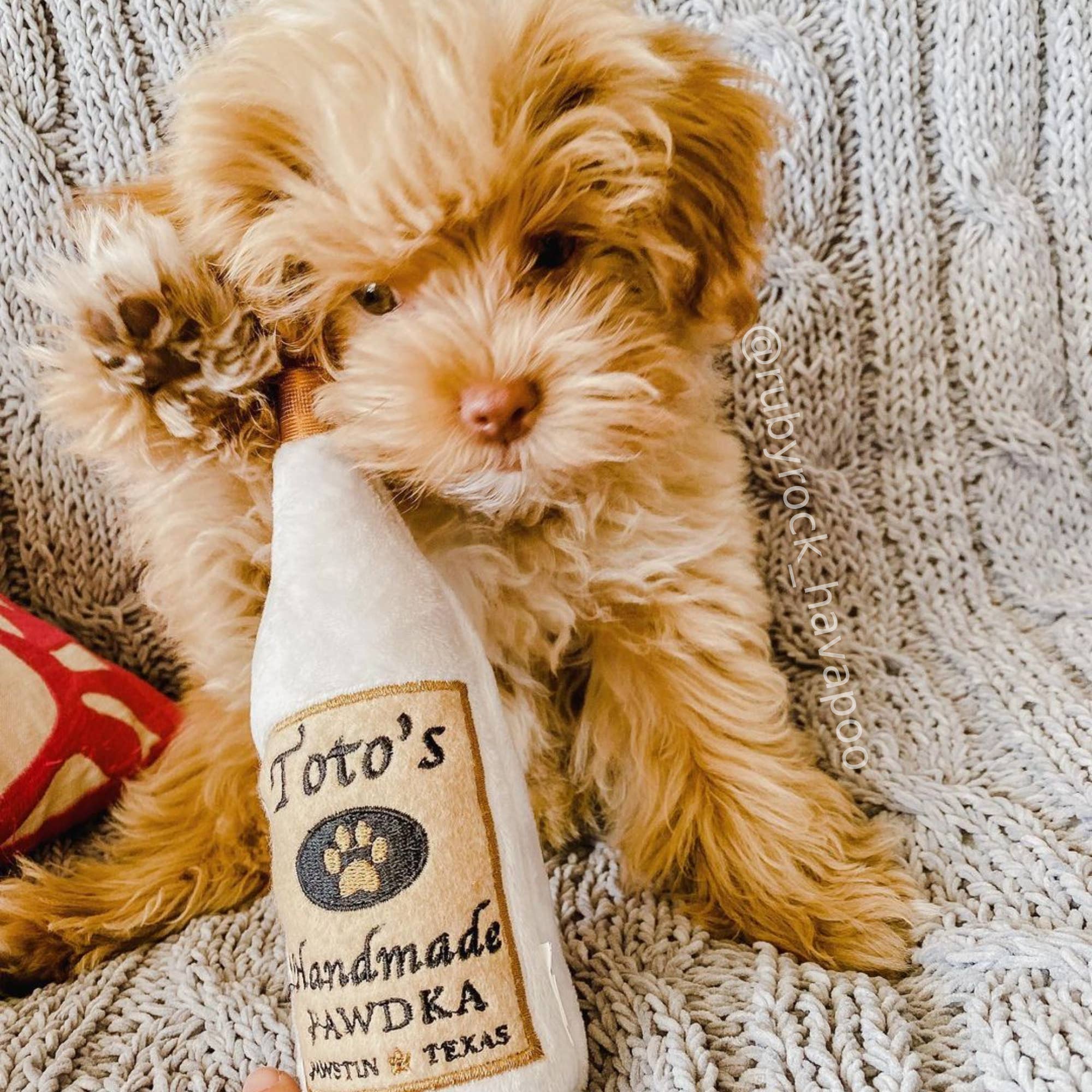 Huxley & Kent - Toto's Pawdka Dog Toy (Small)