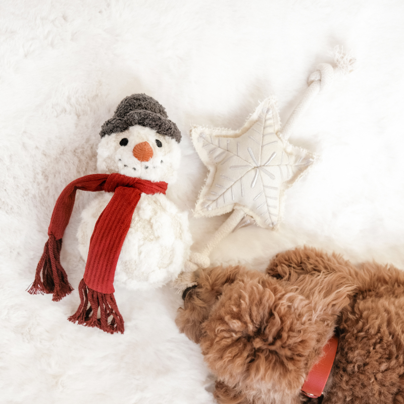 Lambwolf Collective - SNOWMAN//ENRICHMENT DOG TOY // HOLIDAY