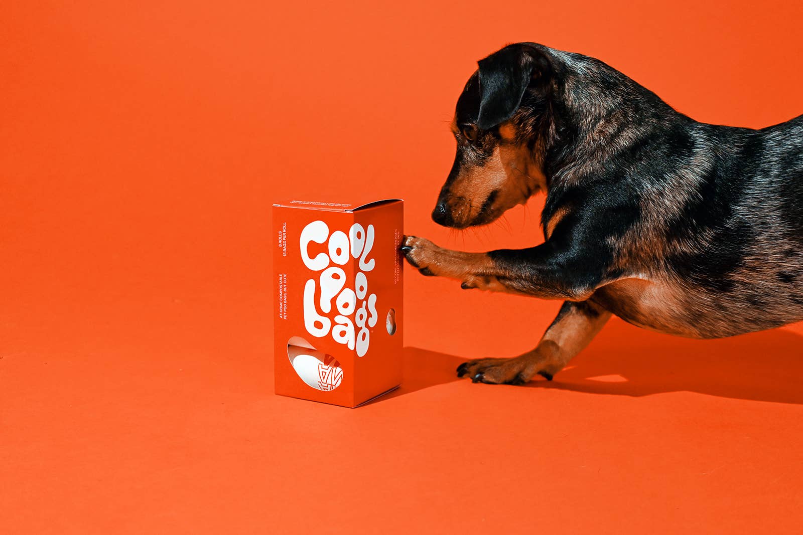 Cool Poo Bags - The Thank You Bag