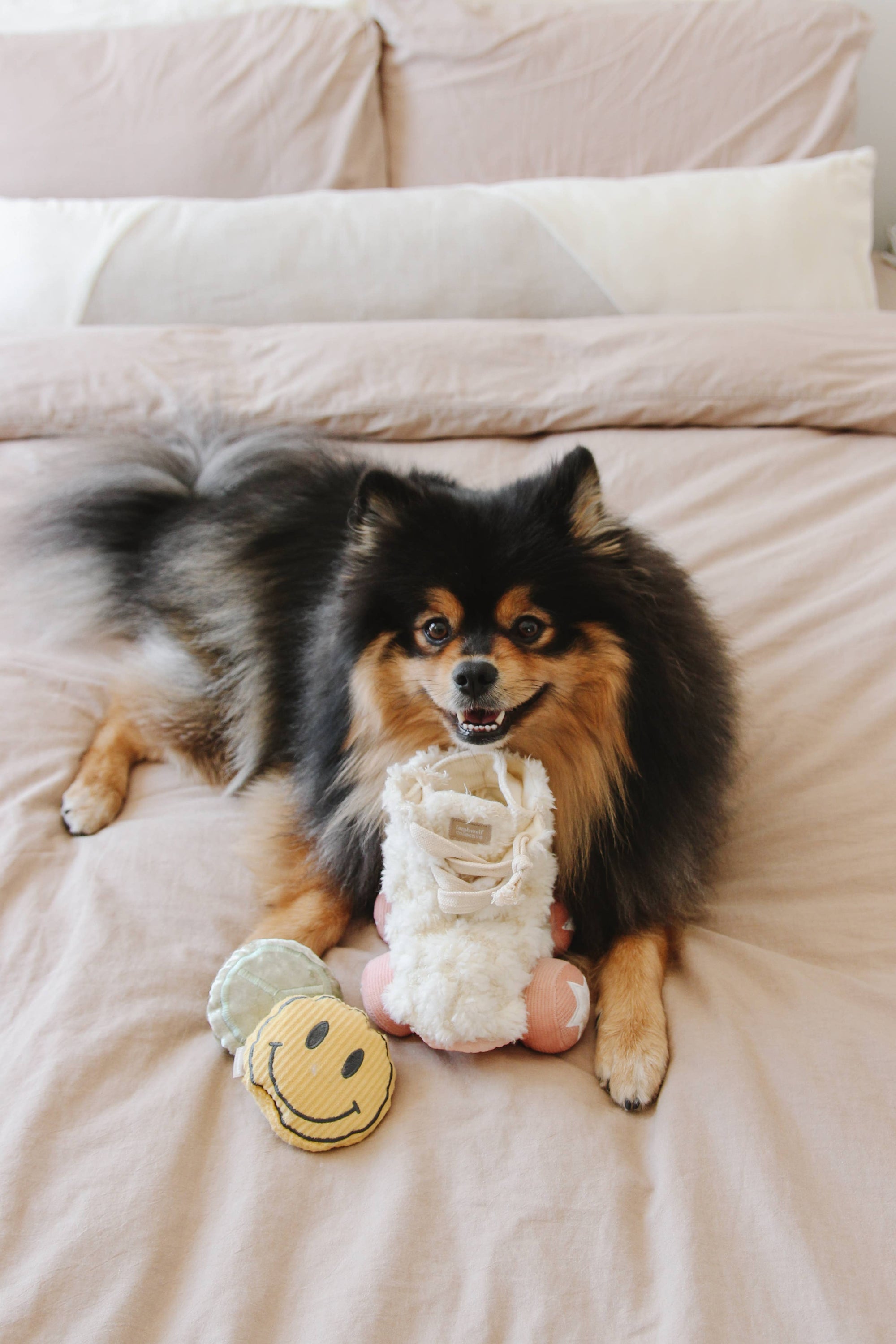 Lambwolf Collective - Roller Skate //ENRICHMENT DOG TOY