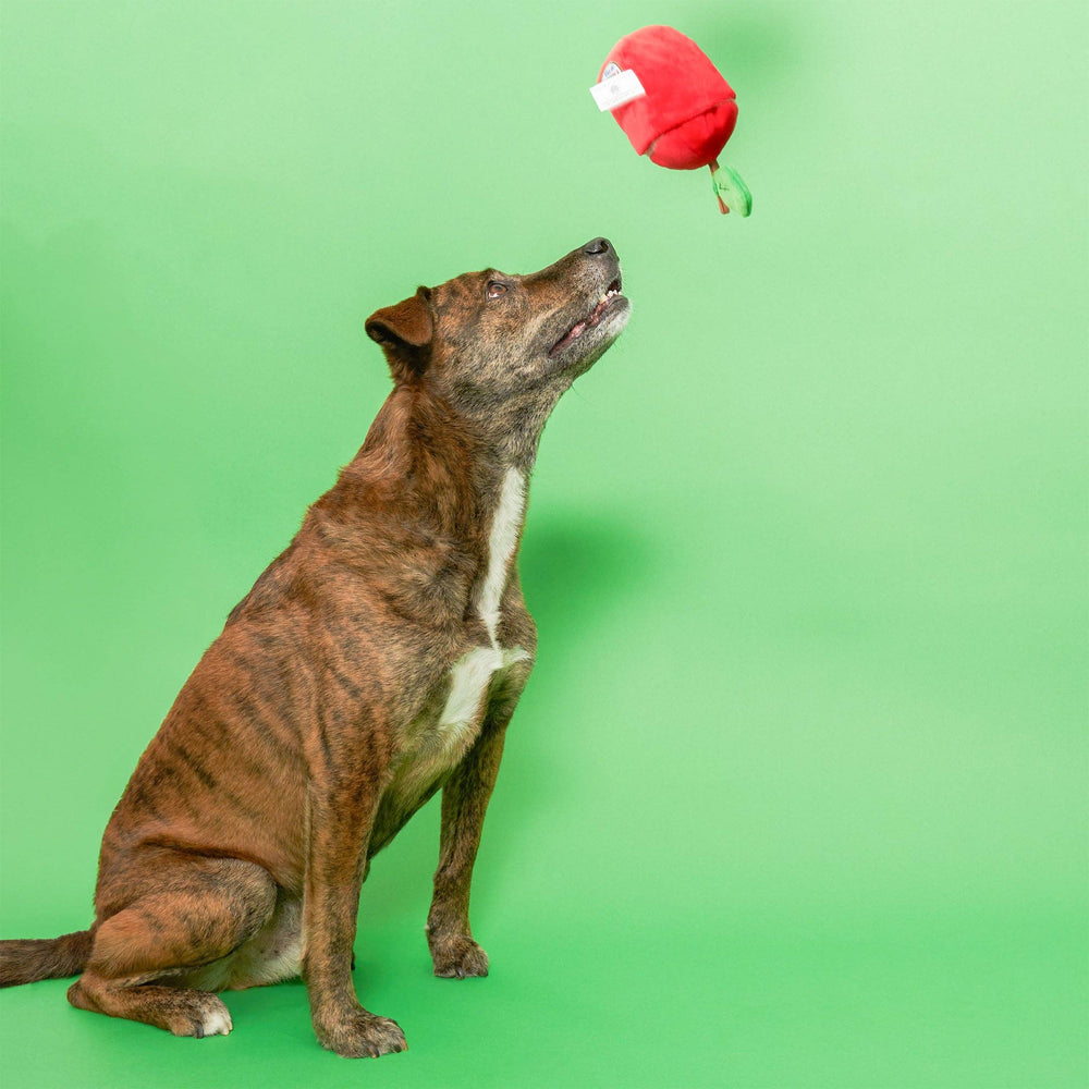 the furryfolks - Apple Nosework Toy