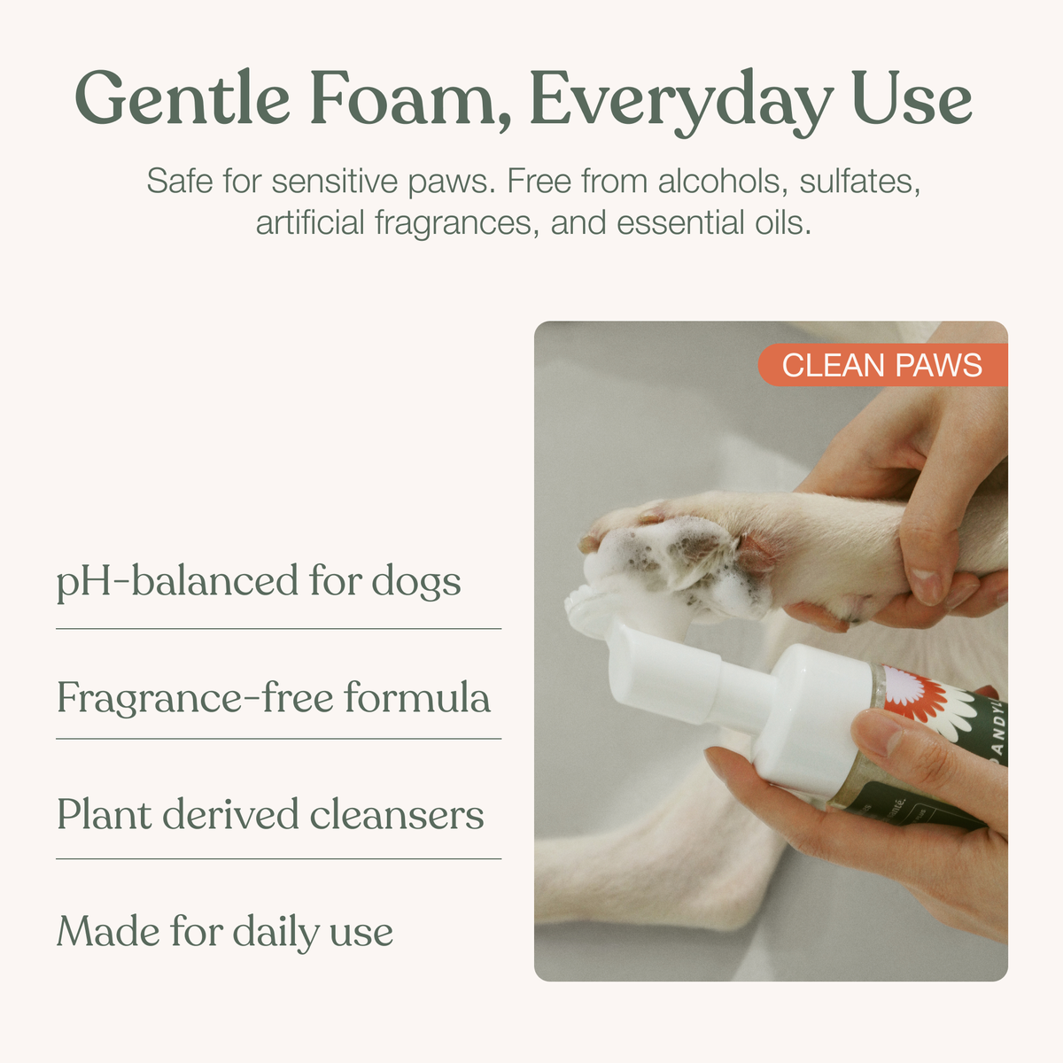 Dandylion | Clean Paws No-Rinse Foaming Cleanser (5 oz)