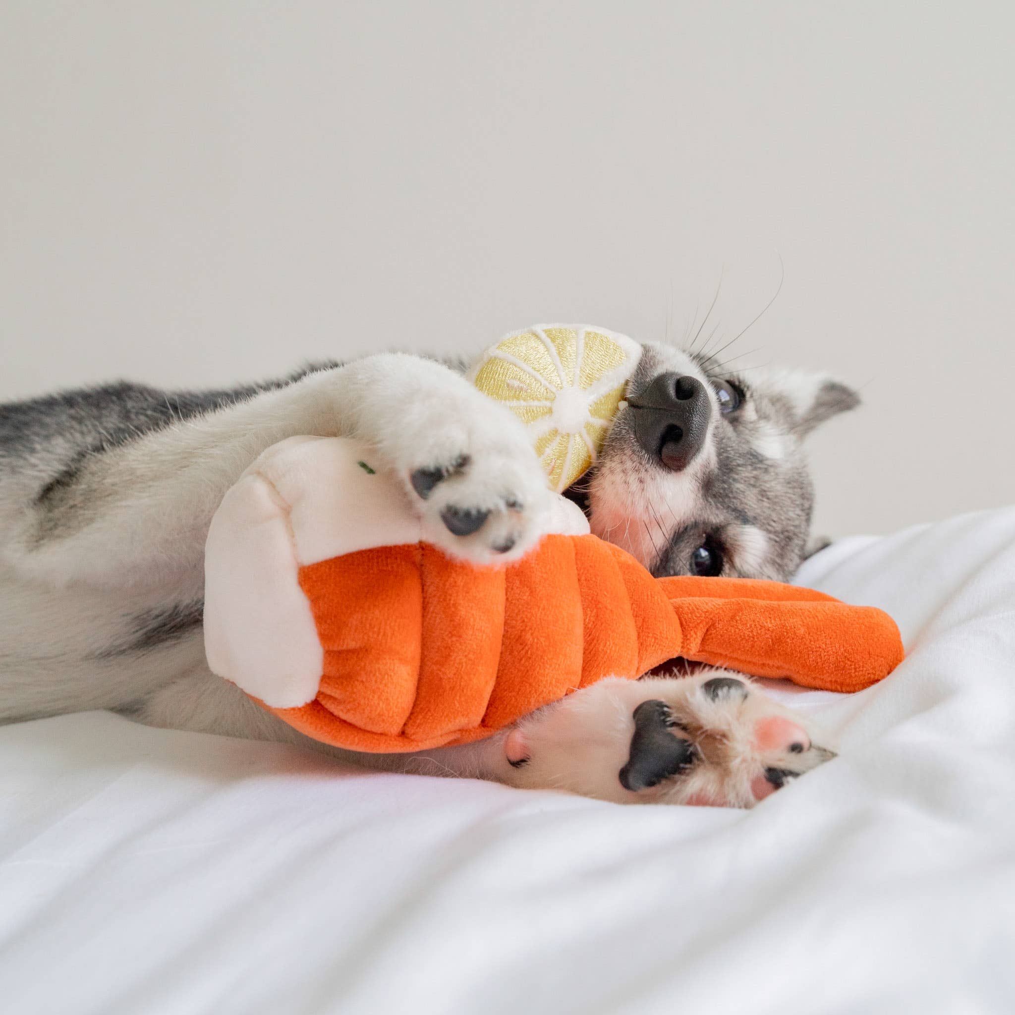 Pups & Bubs- Grilled Lobster Nosework Toy