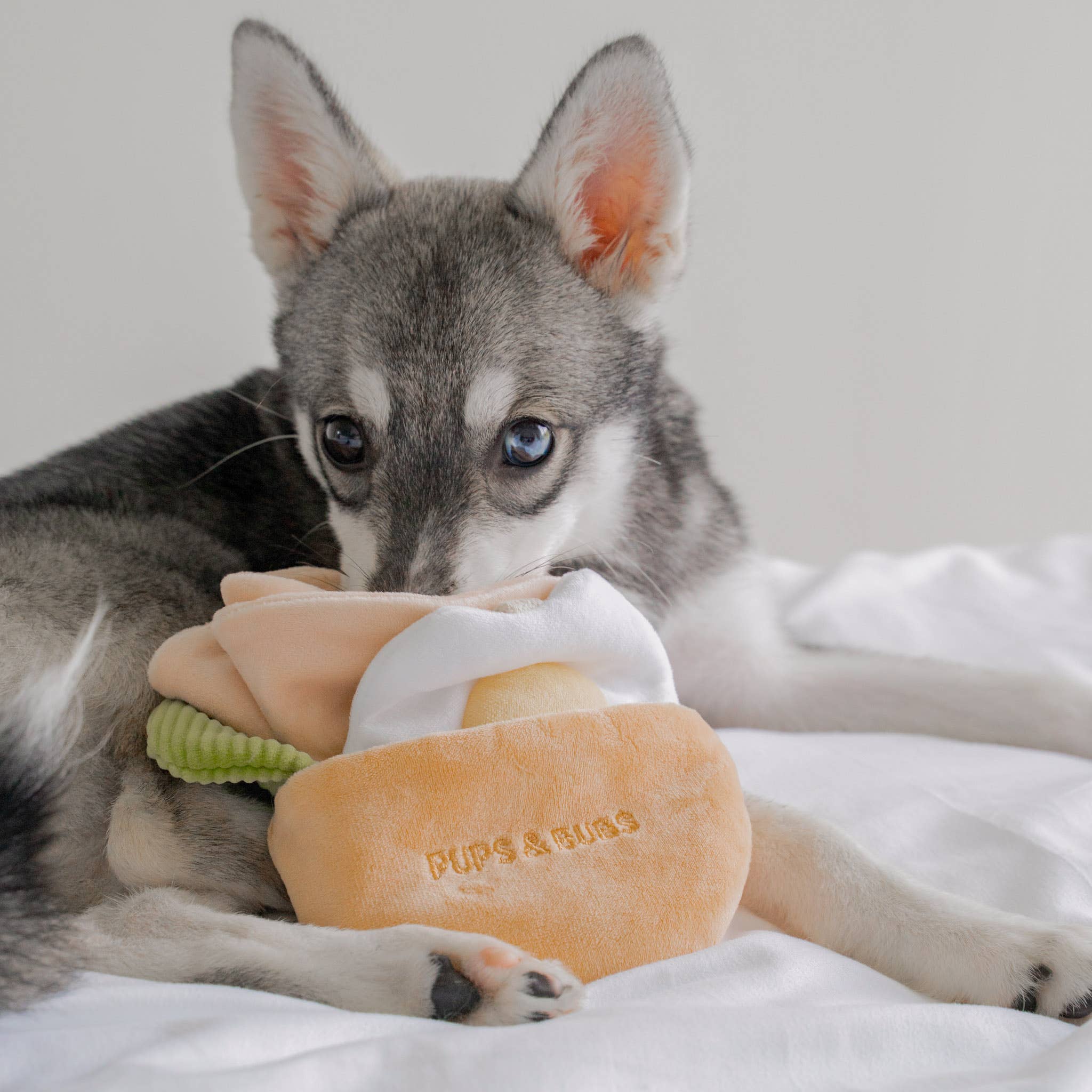 Pups & Bubs- Pita Pocket Nosework Toy