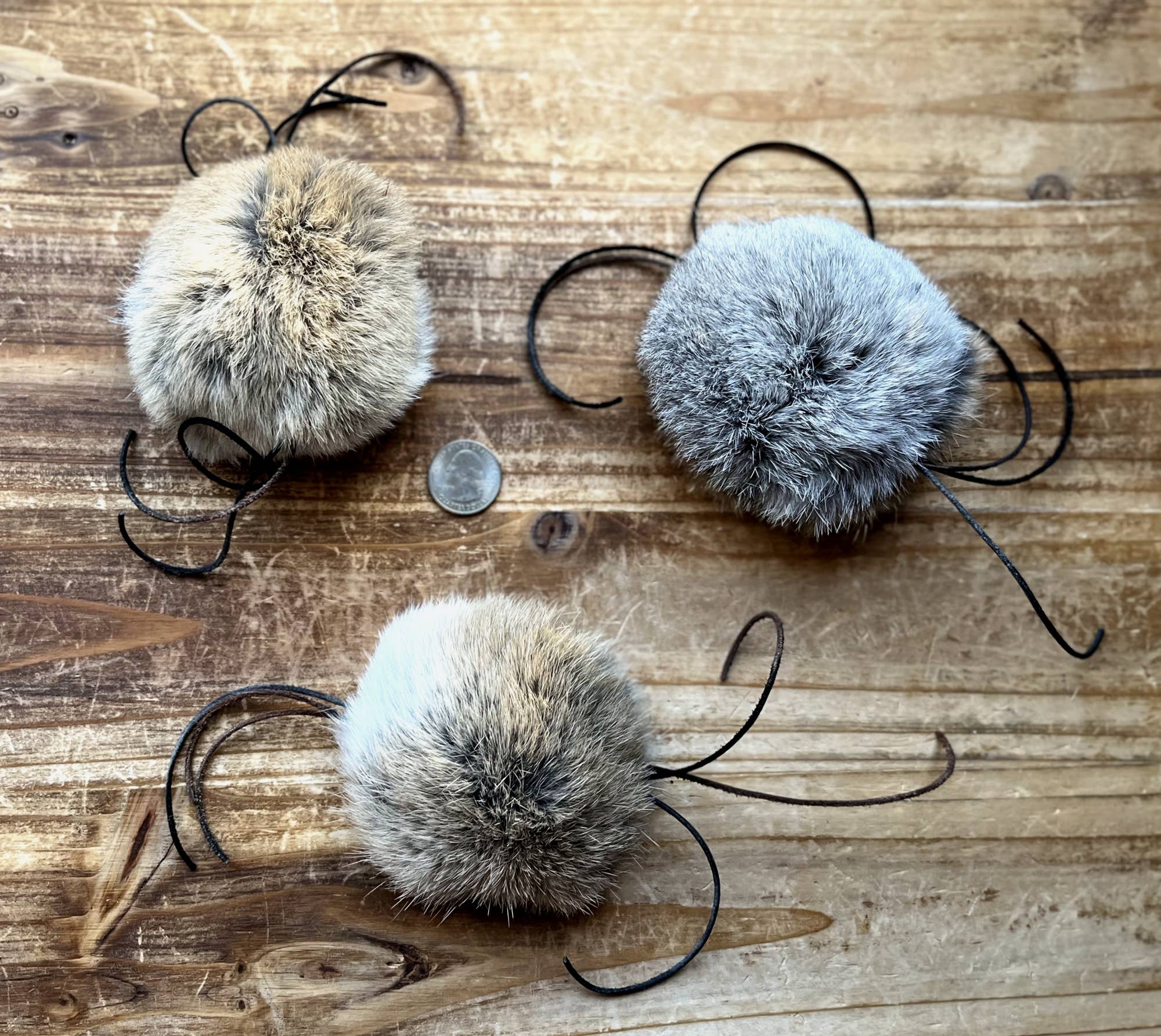 Whiskers 'n Paws Unique Pet Gifts, LLC - Furwhisker Cat Toy (FWCT-020)