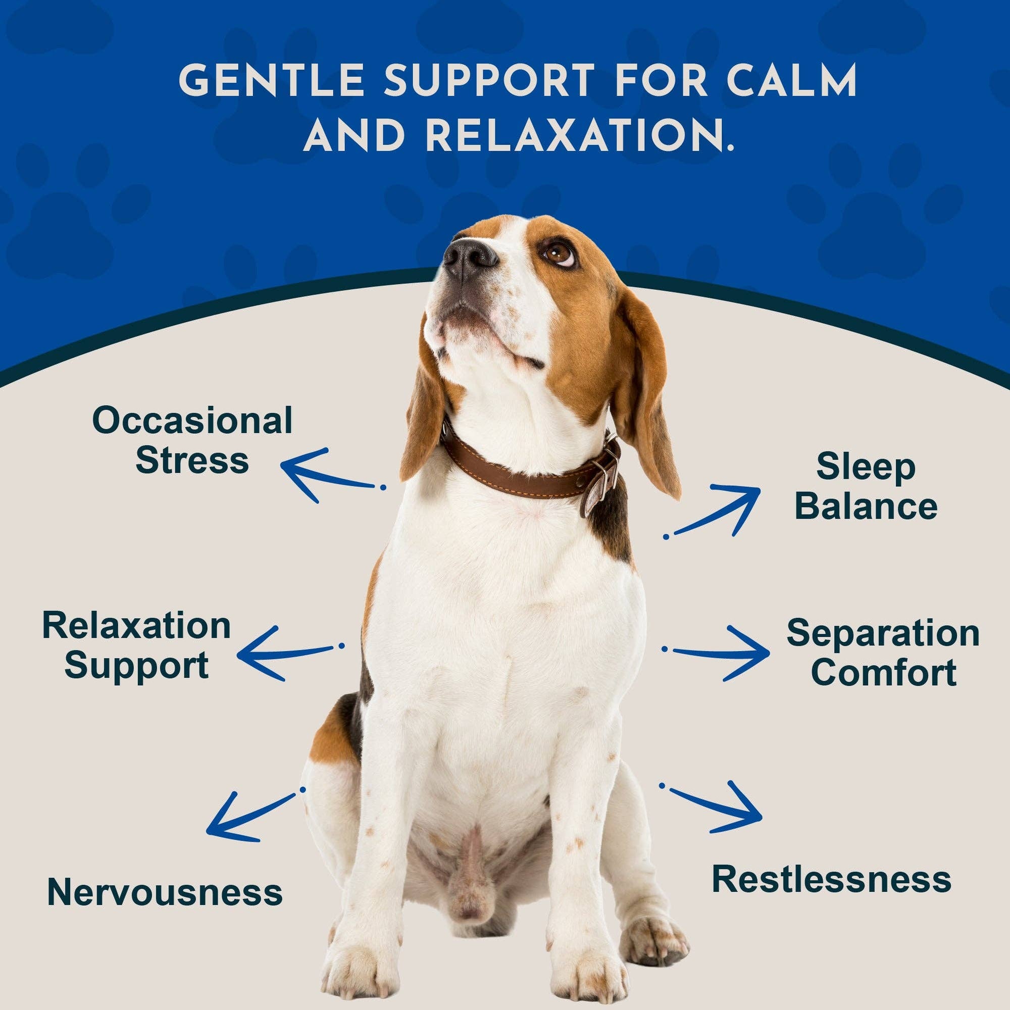 Animal Essentials - Valerian Herbal Tonic | Promotes Calming Effect: 1oz