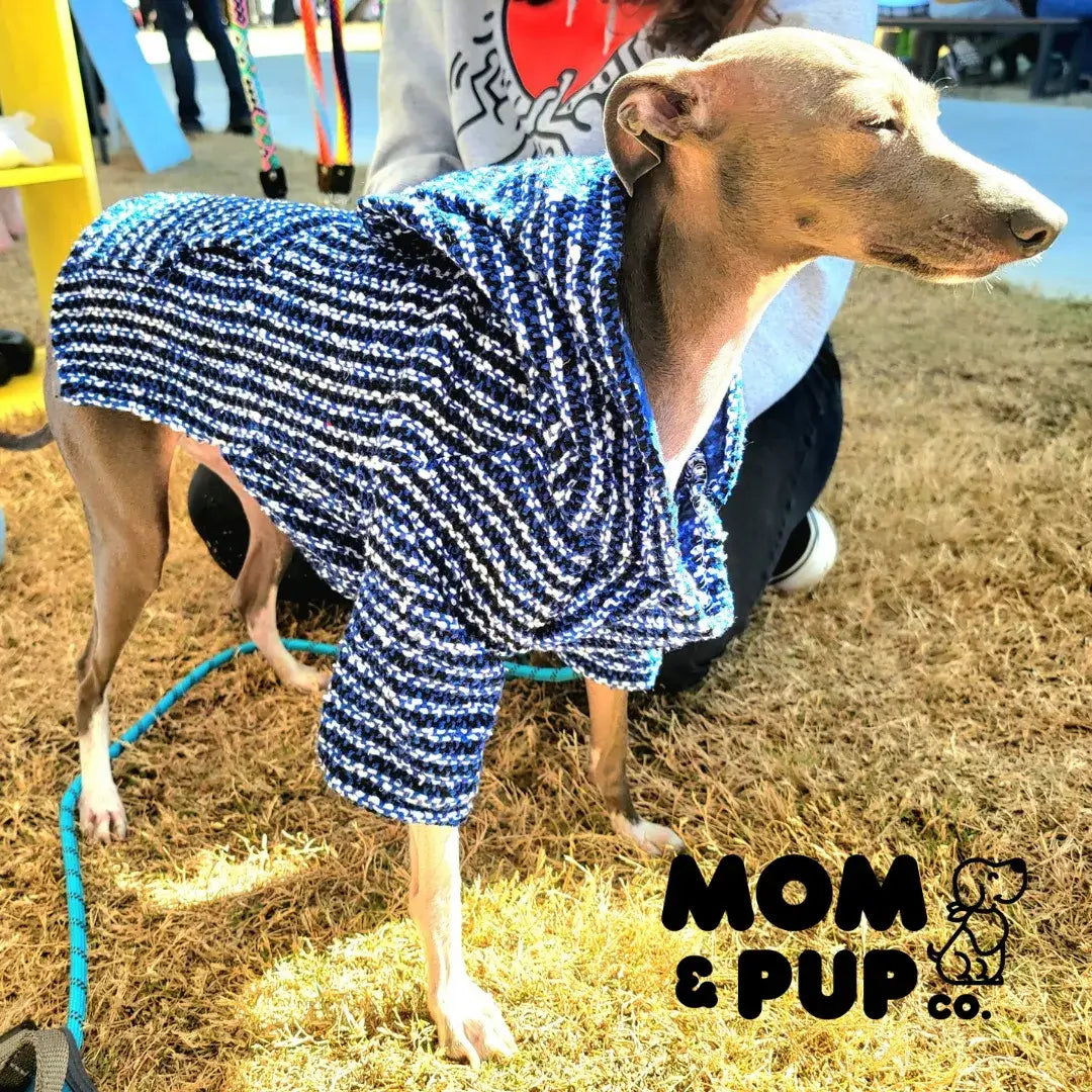Mom And Pup Co. - Baja Dog Poncho - Mexican Dog Hoodie, Boho Dog Sweater: Small