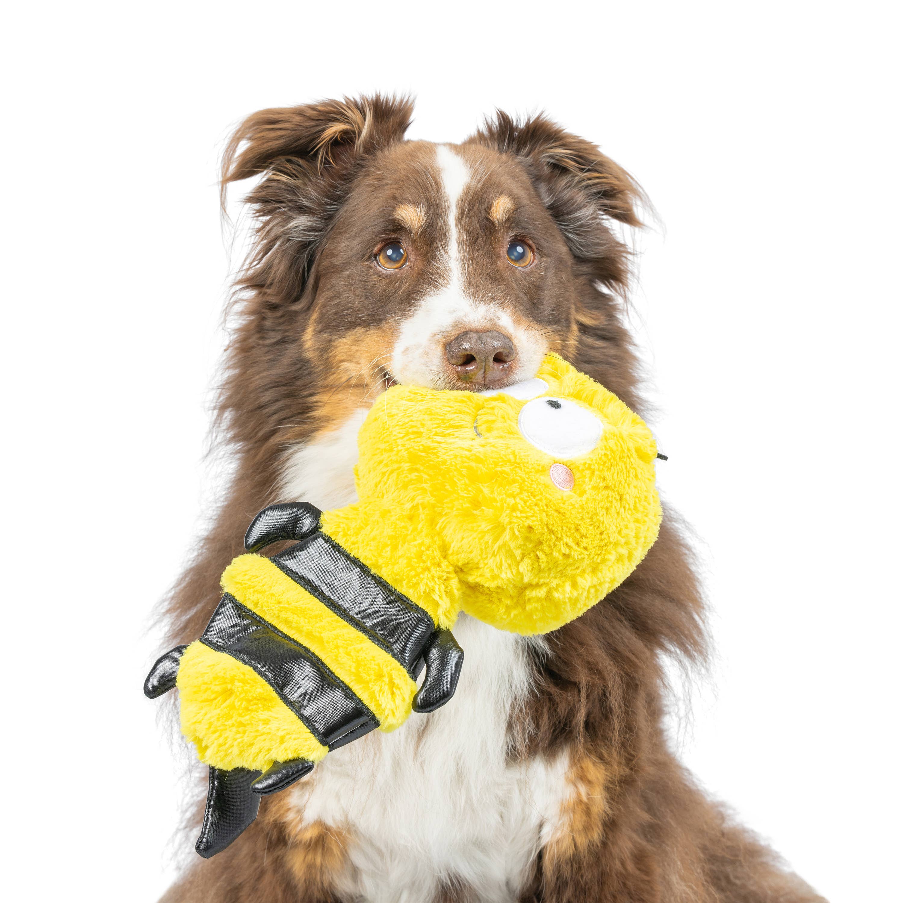 Huxley & Kent - Slappies® Buzz Bee Dog Toy