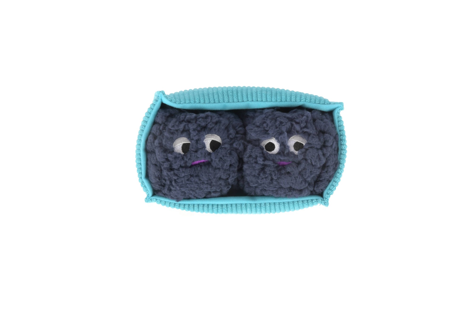 Play Pet Brands | Picked Fresh Blue Beg-rries