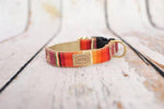 Finnegan’s Standard Goods - 1" ORANGE SERAPE STRIPE COLLAR: L (63 - 100 lbs)