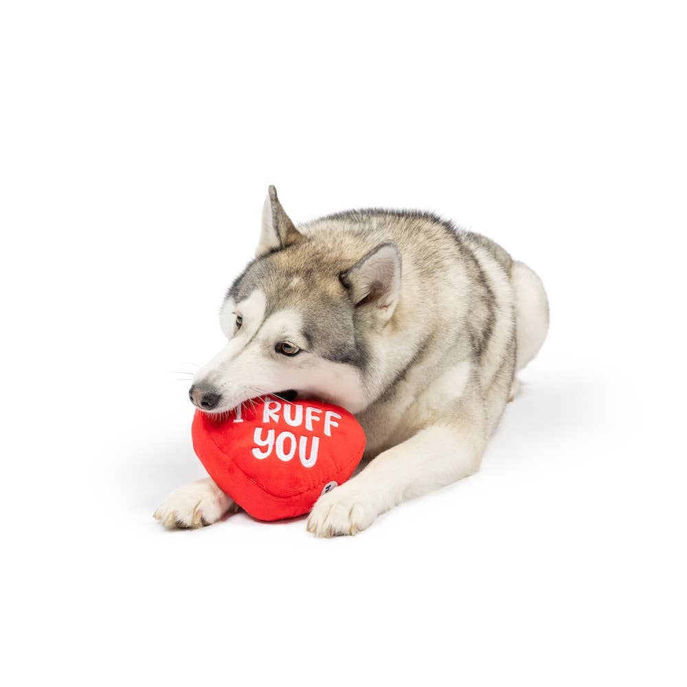 Huxley & Kent - First Lick Heart Dog Toy (Double-Sided): Large