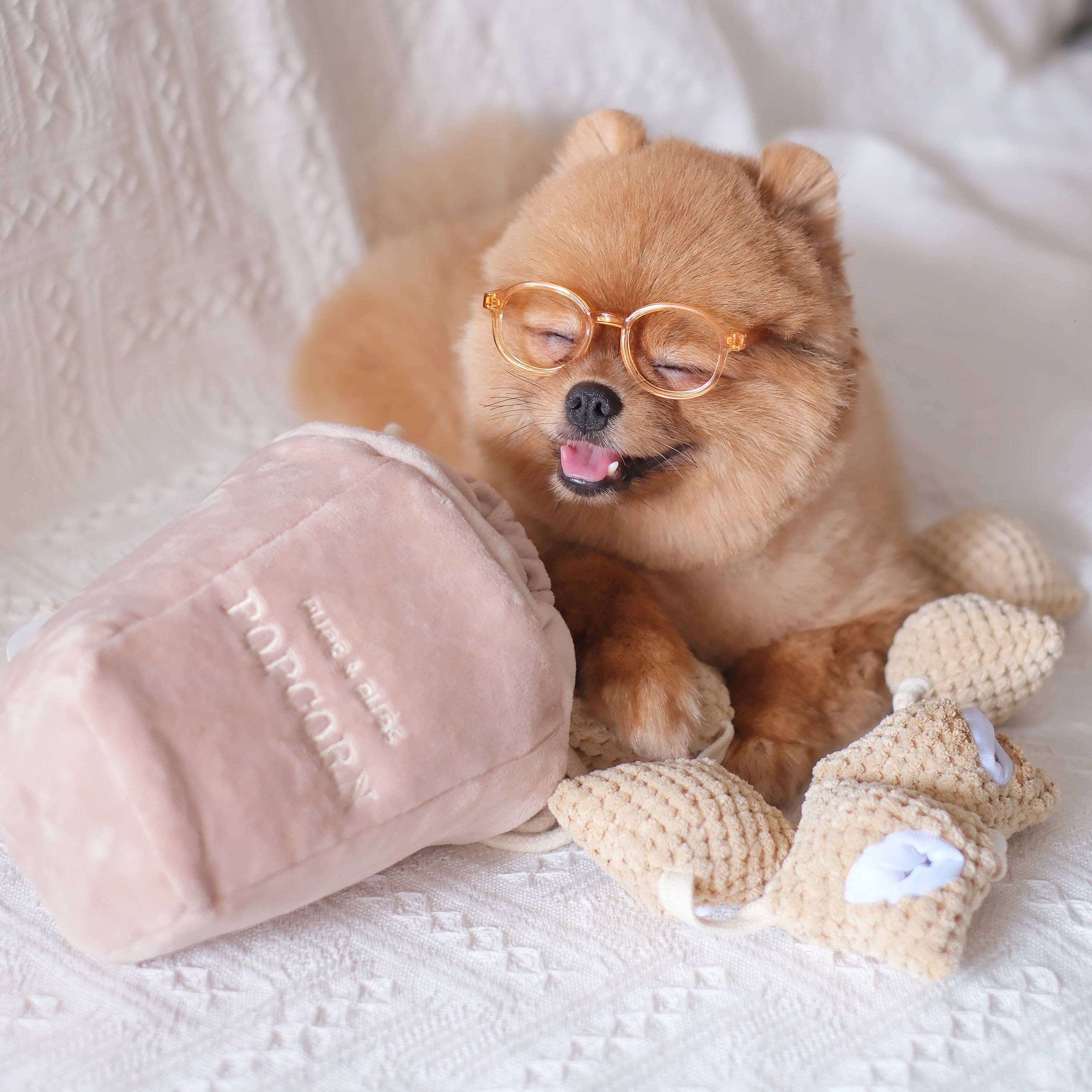 Pups & Bubs - Popcorn Nosework Enrichment Toy | Snuffle | Squeaker