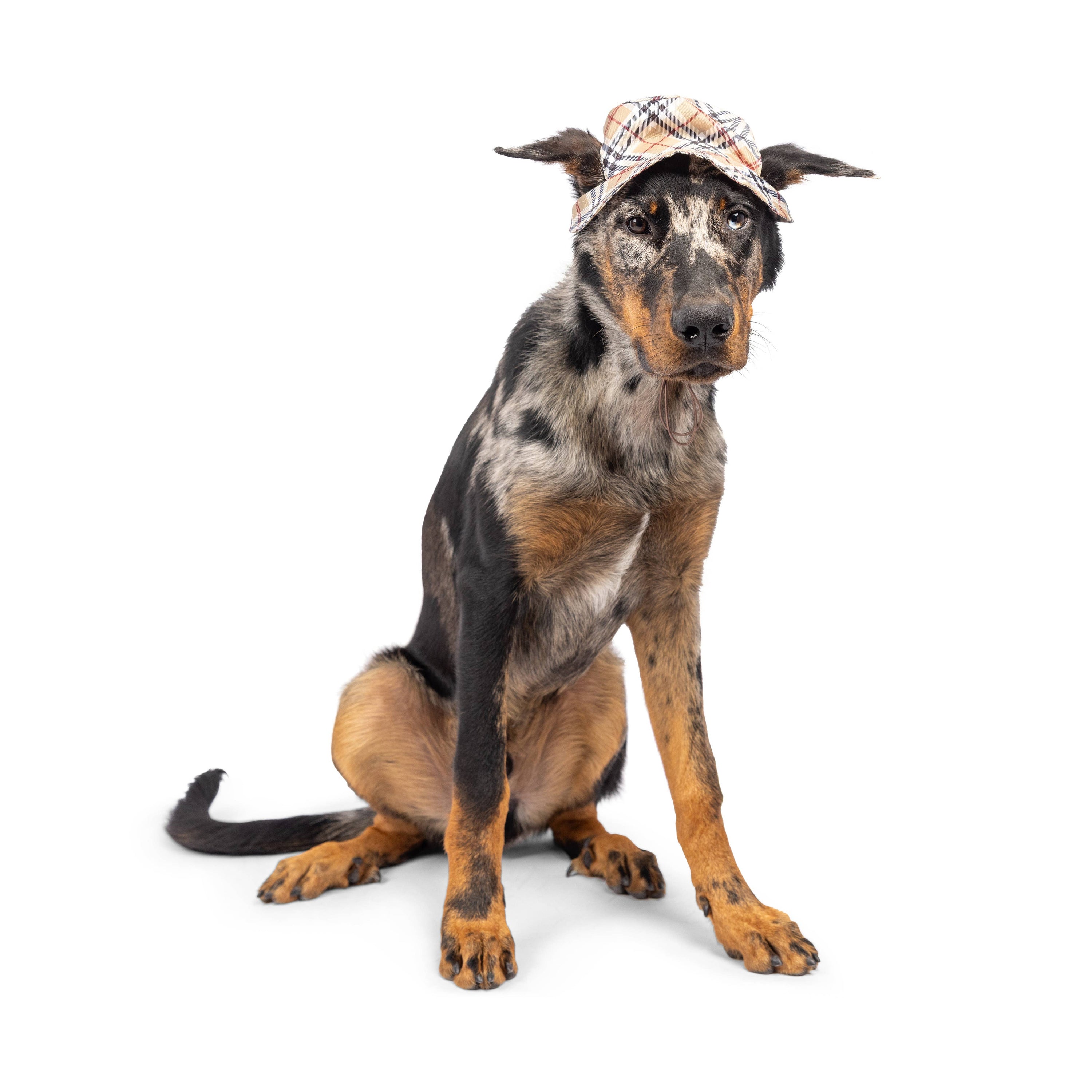 Huxley & Kent - Bucket Hats with SnugFit®: Strawberries (Large)
