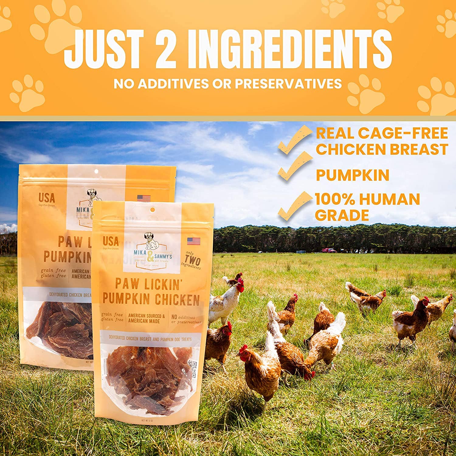 Mika and Sammy's Gourmet Pet Treats | Pumpkin Chicken (5oz)