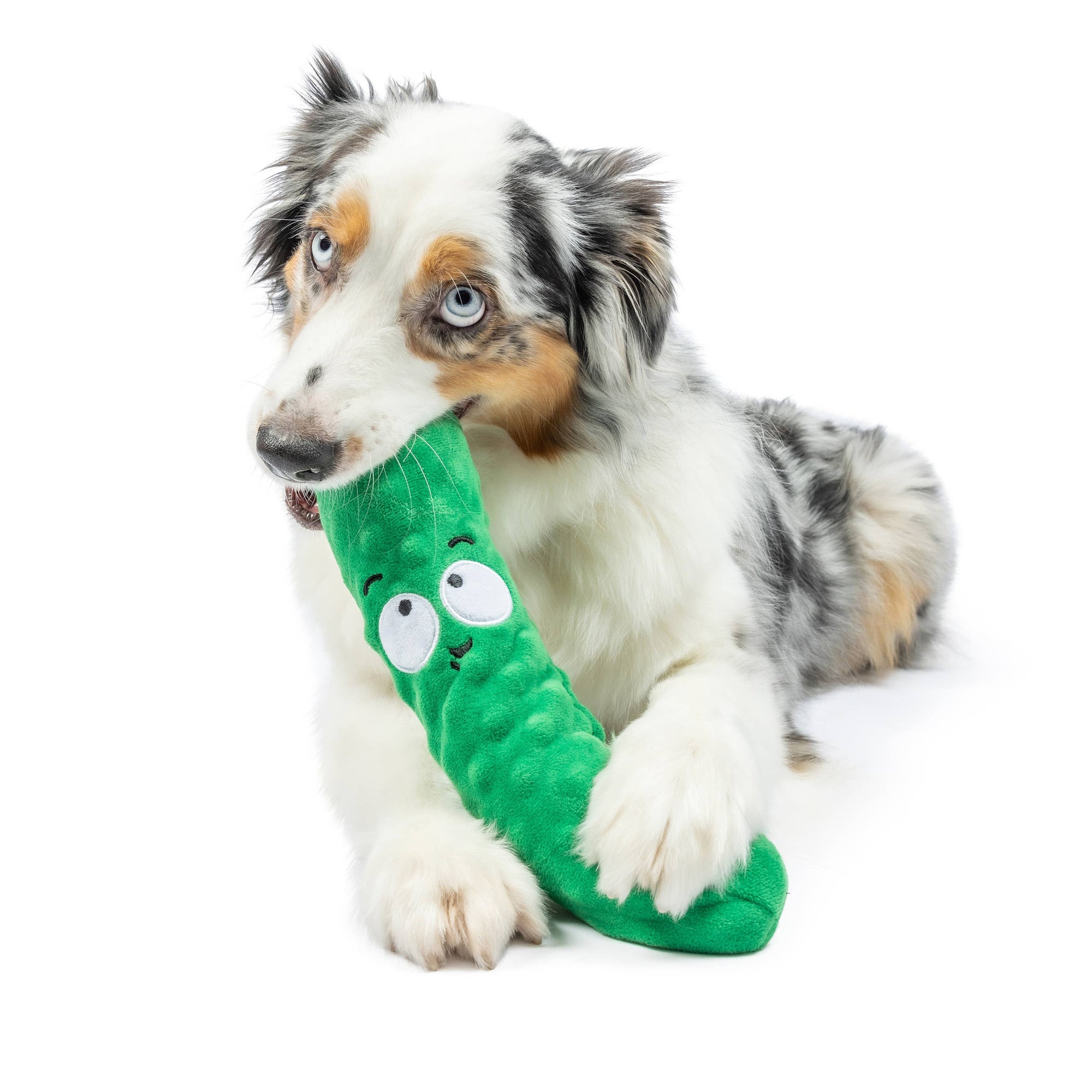 Huxley & Kent - Fetchies® Dell Pickle Dog Toy: Small