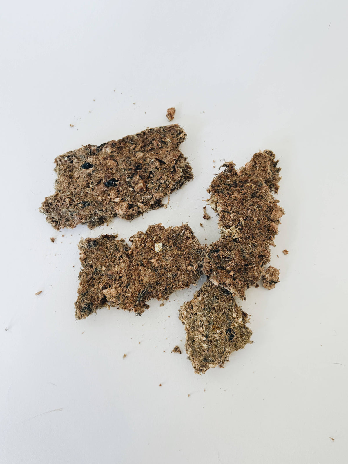 Amica Science - Animal Crackers - Quail