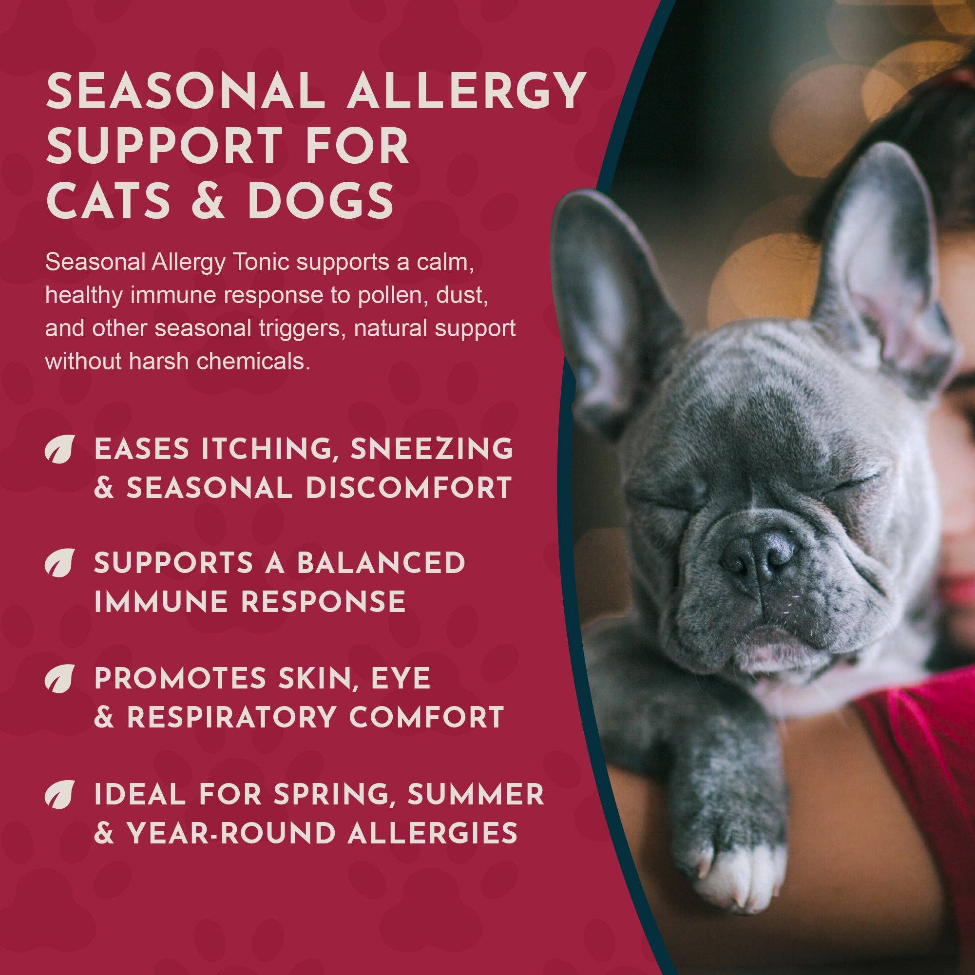Animal Essentials | Seasonal Allergy Herbal Tonic | Maintains Normal Histamine Levels: 1oz