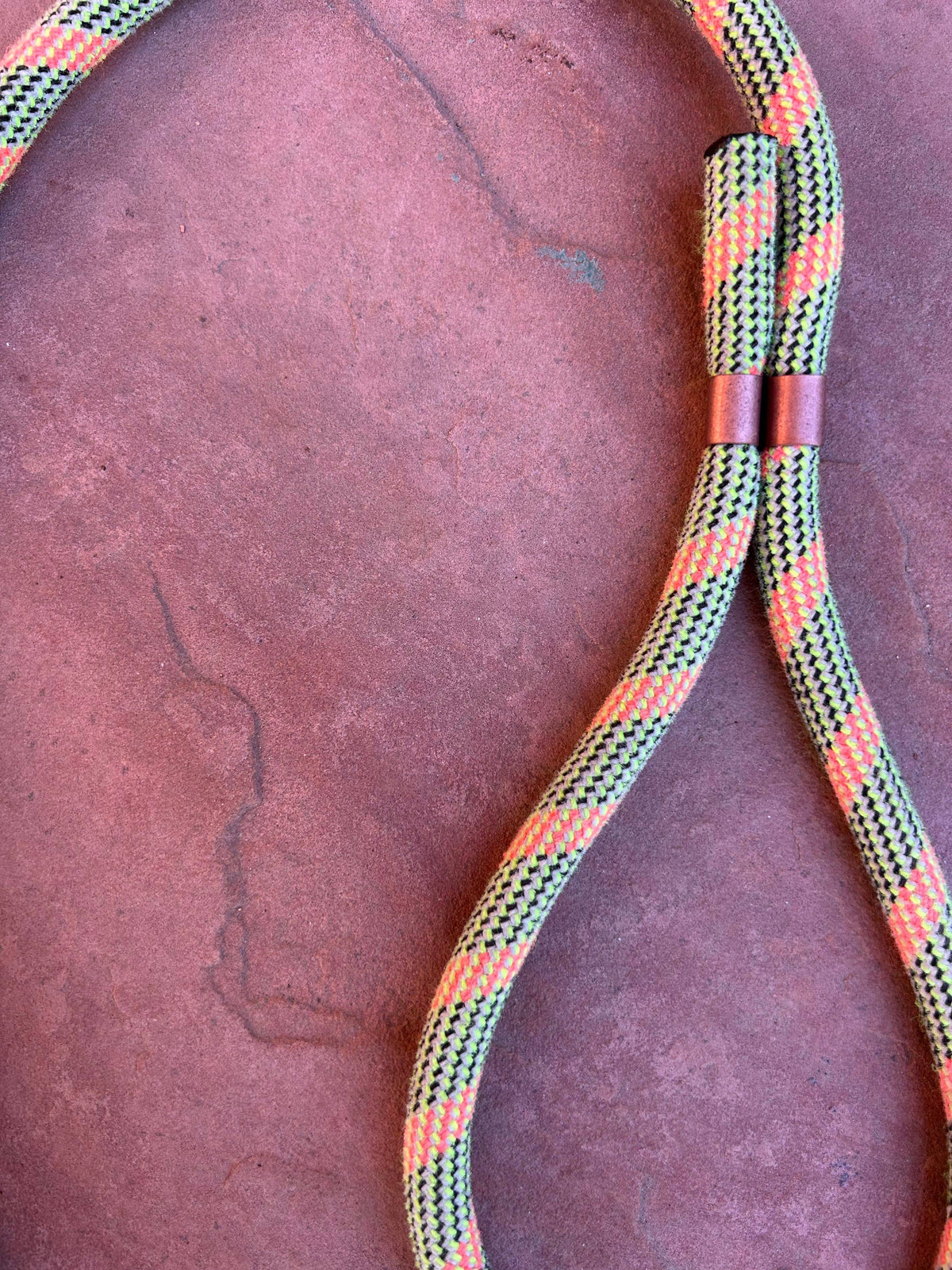 Joshua Tree Leash & Lead - Safety Pin