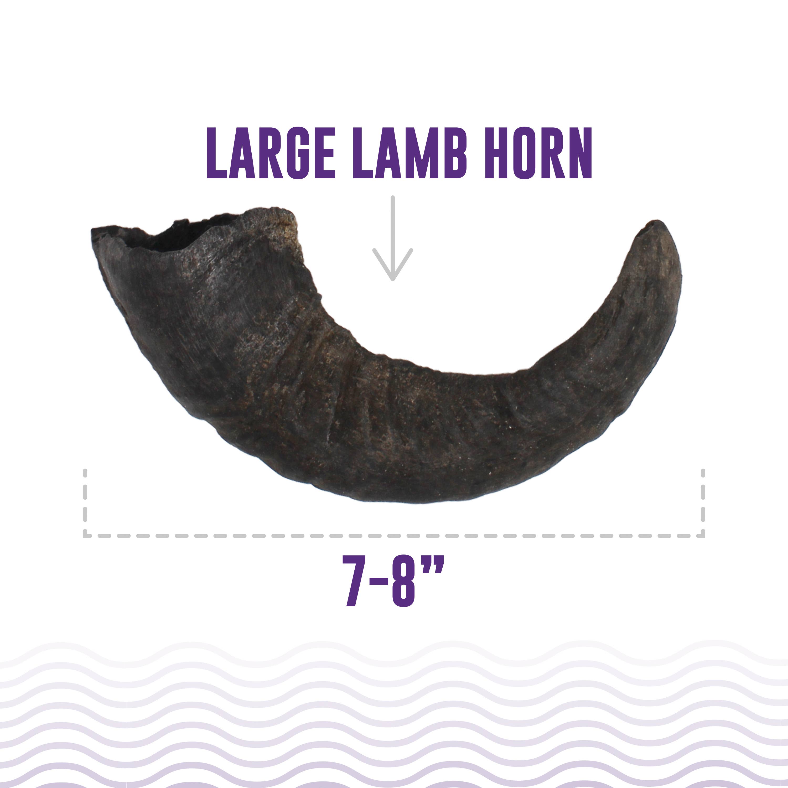 Icelandic+ - Icelandic+ Large Lamb Horn Dog Treat: 1-ct (single)