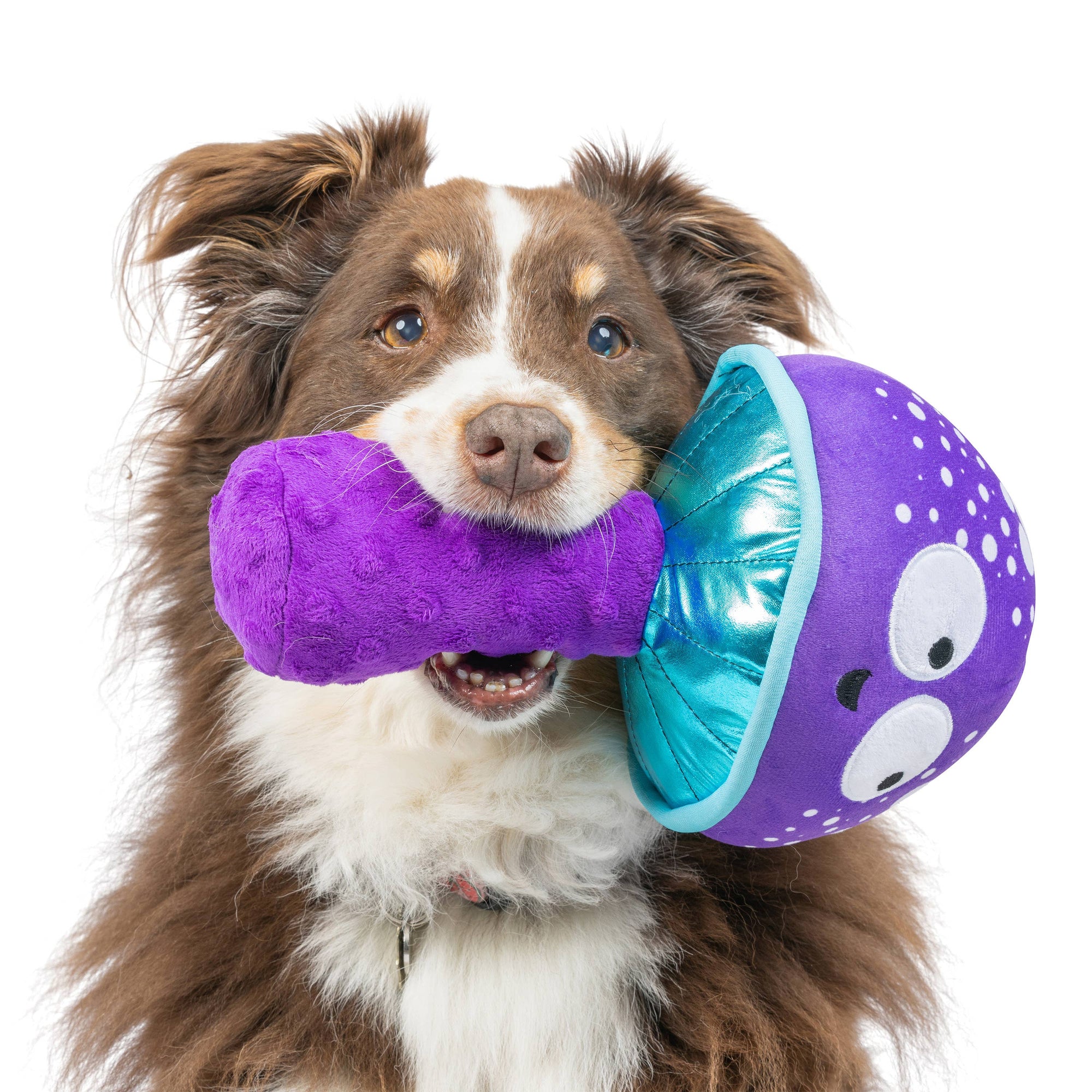 Huxley & Kent - Fetchies® Mellow Mushroom Dog Toy: Large