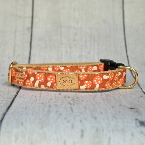 Finnegan’s Standard Goods - 1 inch Creamsicle Mushroom Collar: S (15 - 25 lbs)