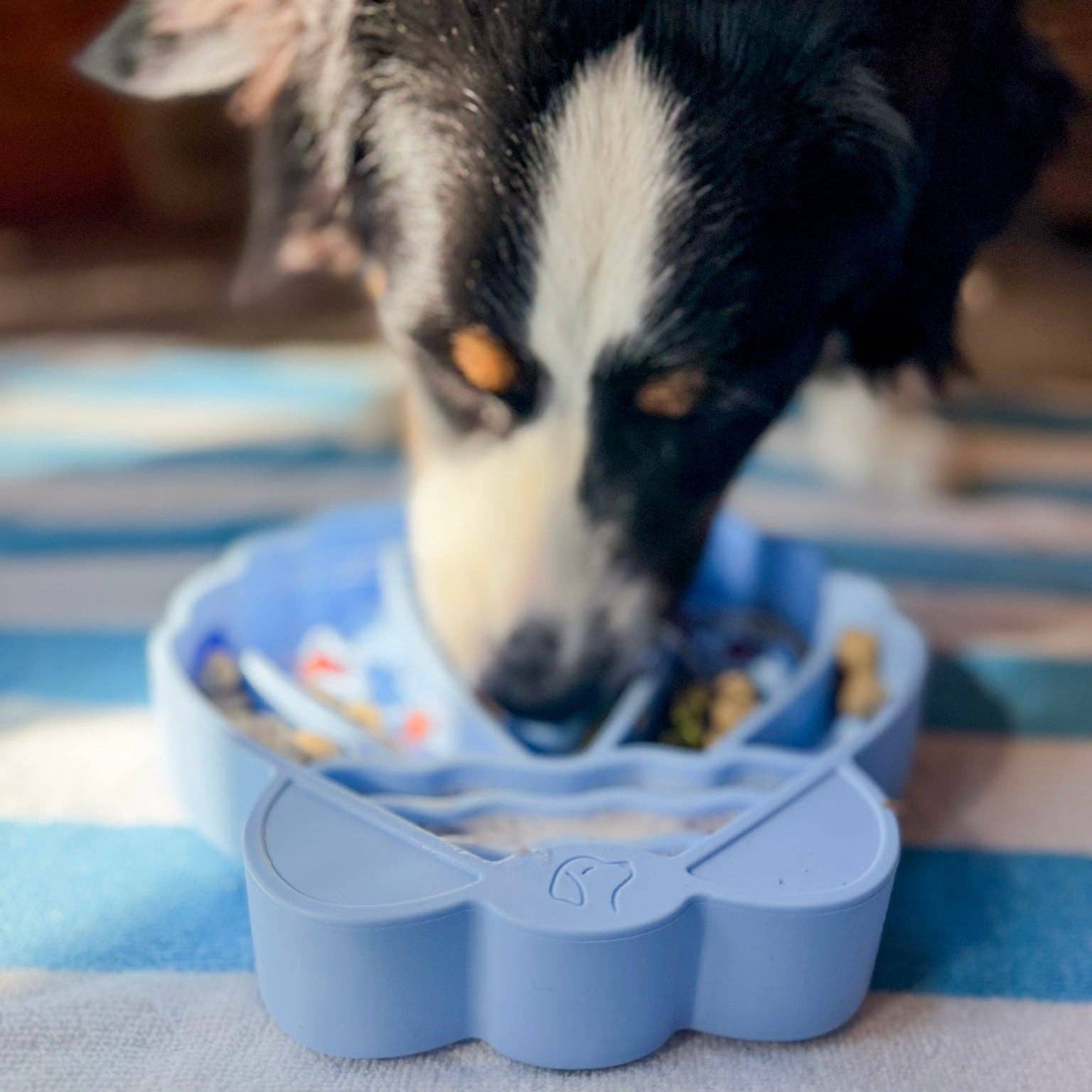 Pawsome Tails - Seashell Slow Feeder Bowl | Mist