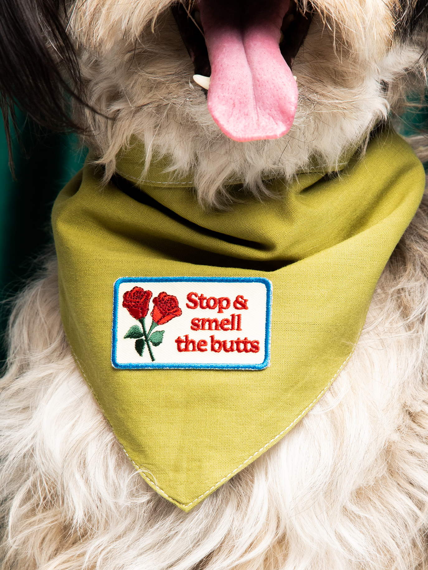 Scout's Honour Pty Ltd - Stop & Smell The Butts iron-on patch for dogs and cats