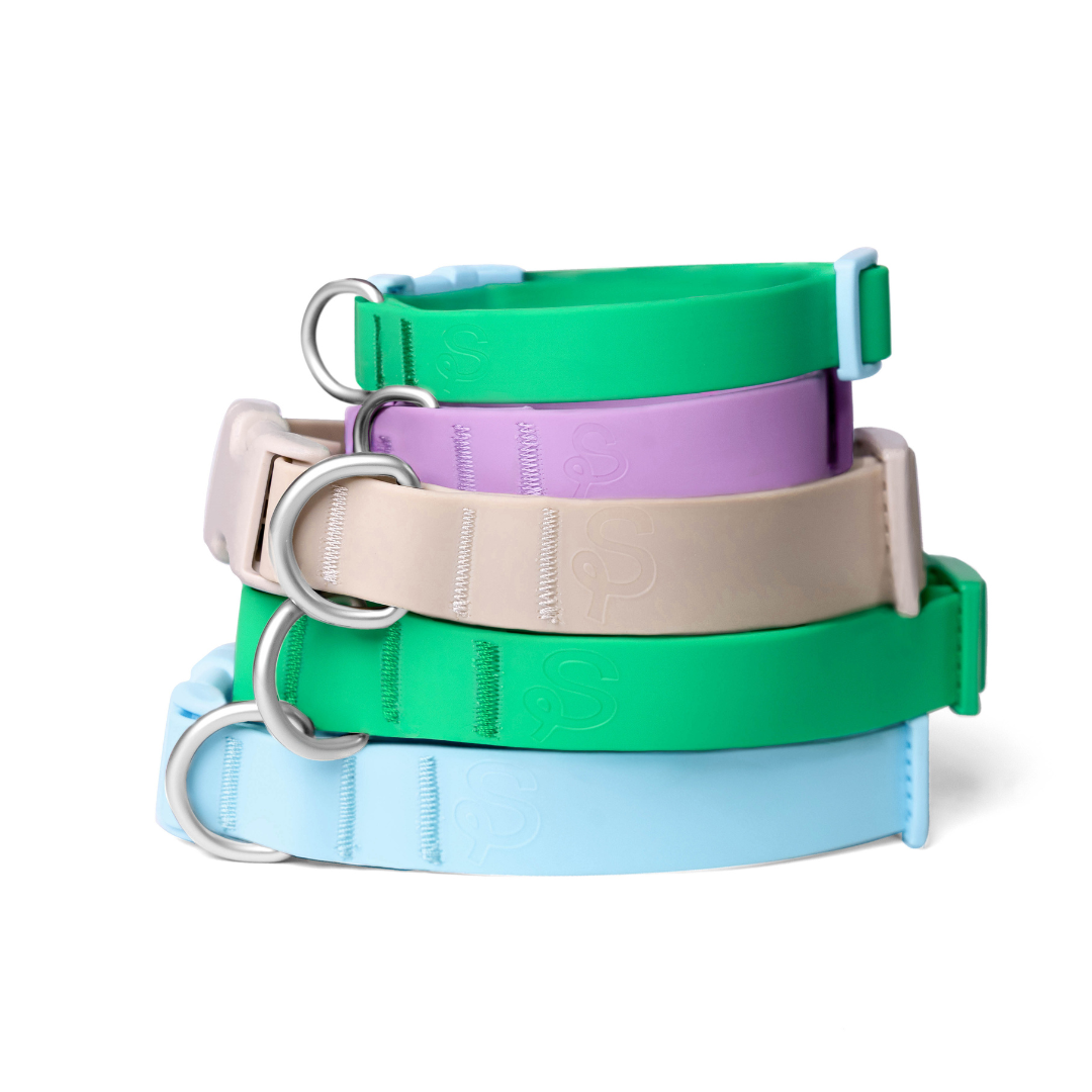 Springland Pets - Waterproof & Adjustable Dog Collar (Small, Medium, Large)