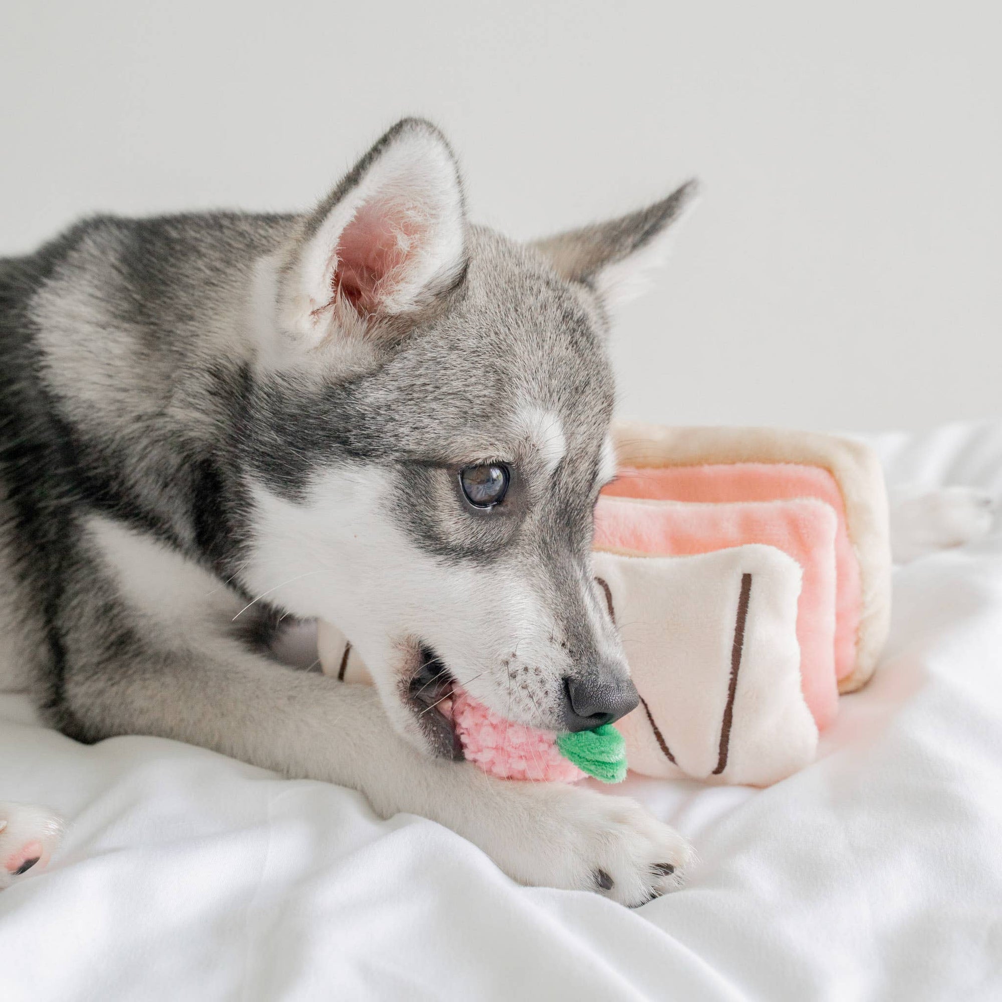 Pups & Bubs- Strawberry Mille-Feuille Nosework Toy