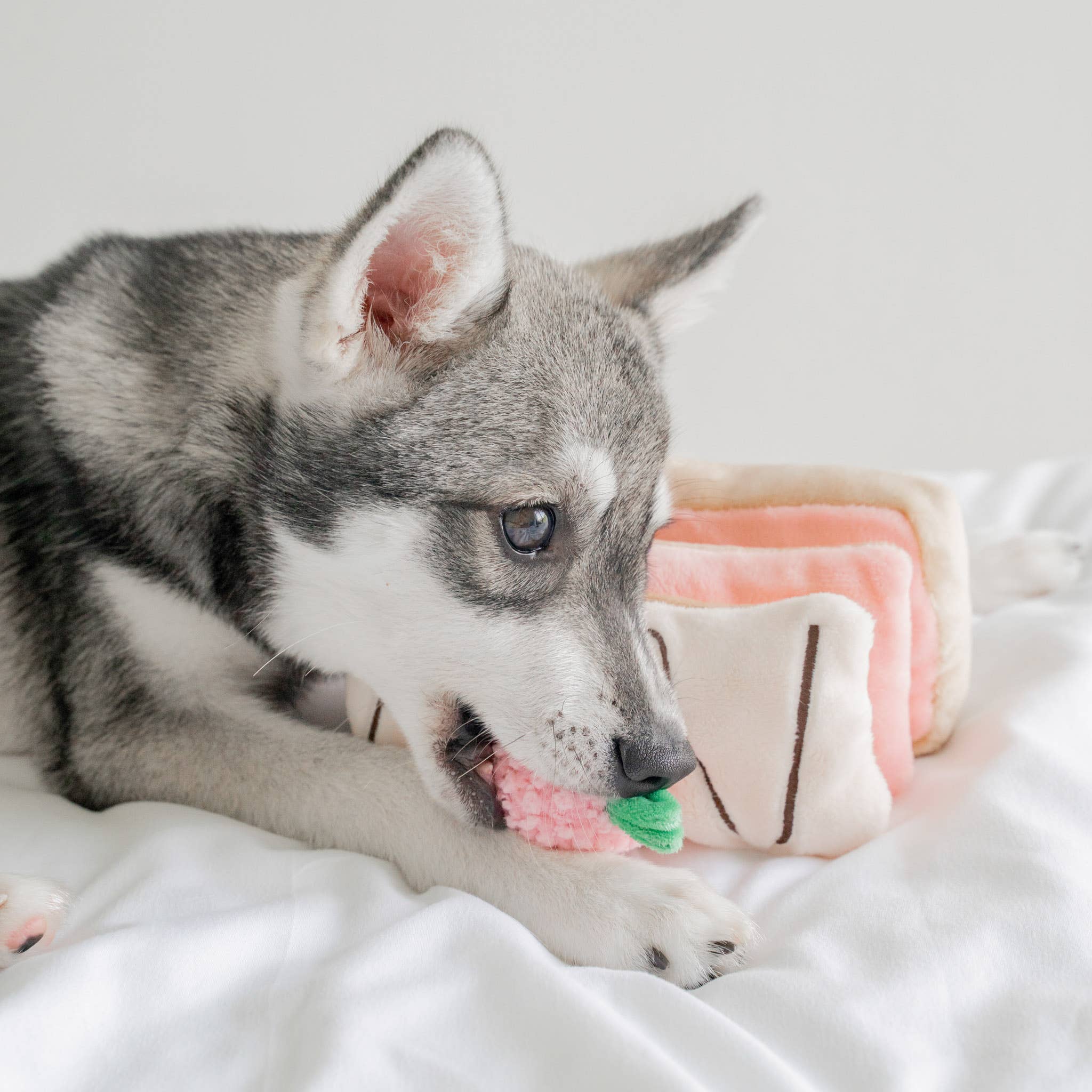 Pups & Bubs- Strawberry Mille-Feuille Nosework Toy