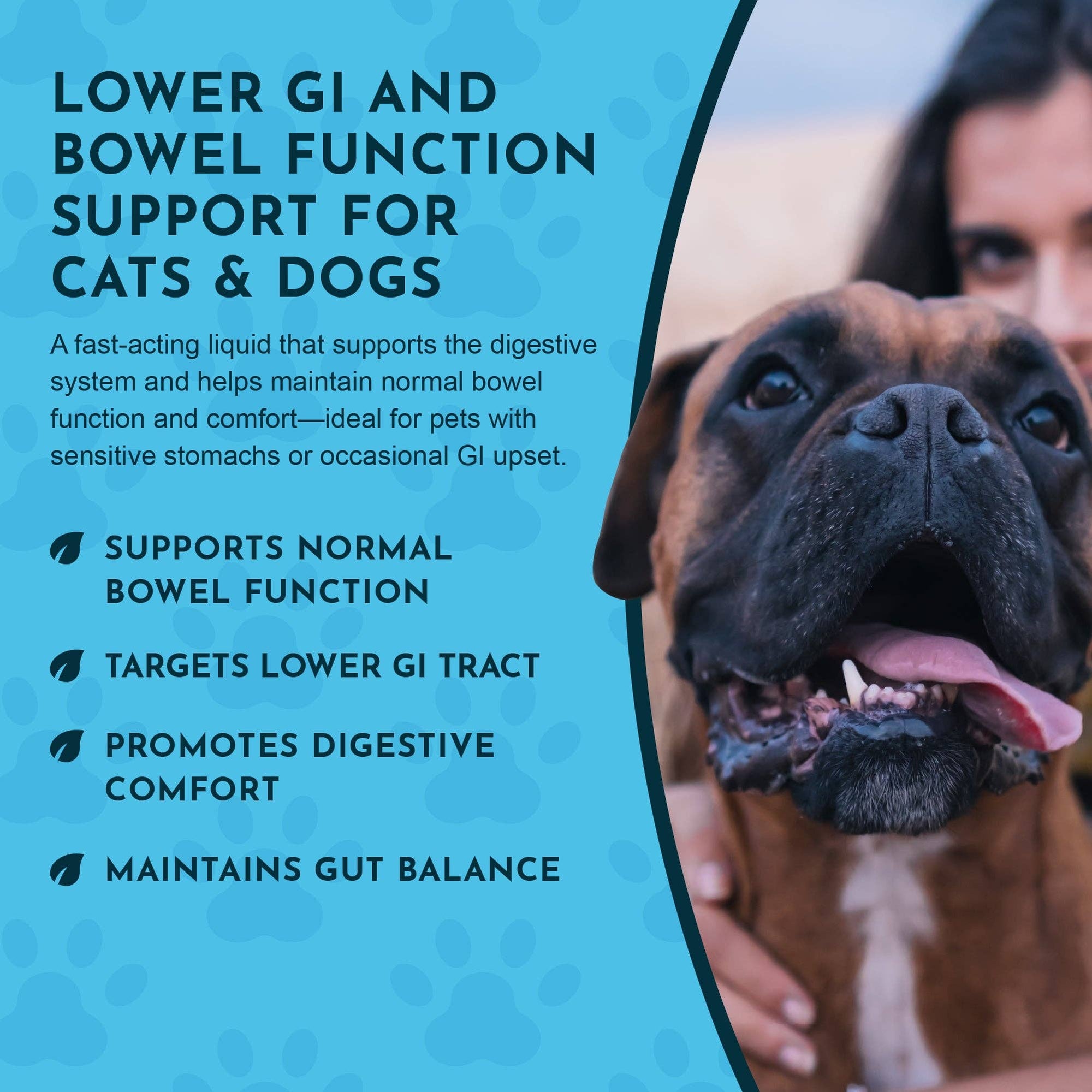 Animal Essentials - Colon Rescue Herbal Tonic | Supports Normal Bowel Function: 1oz
