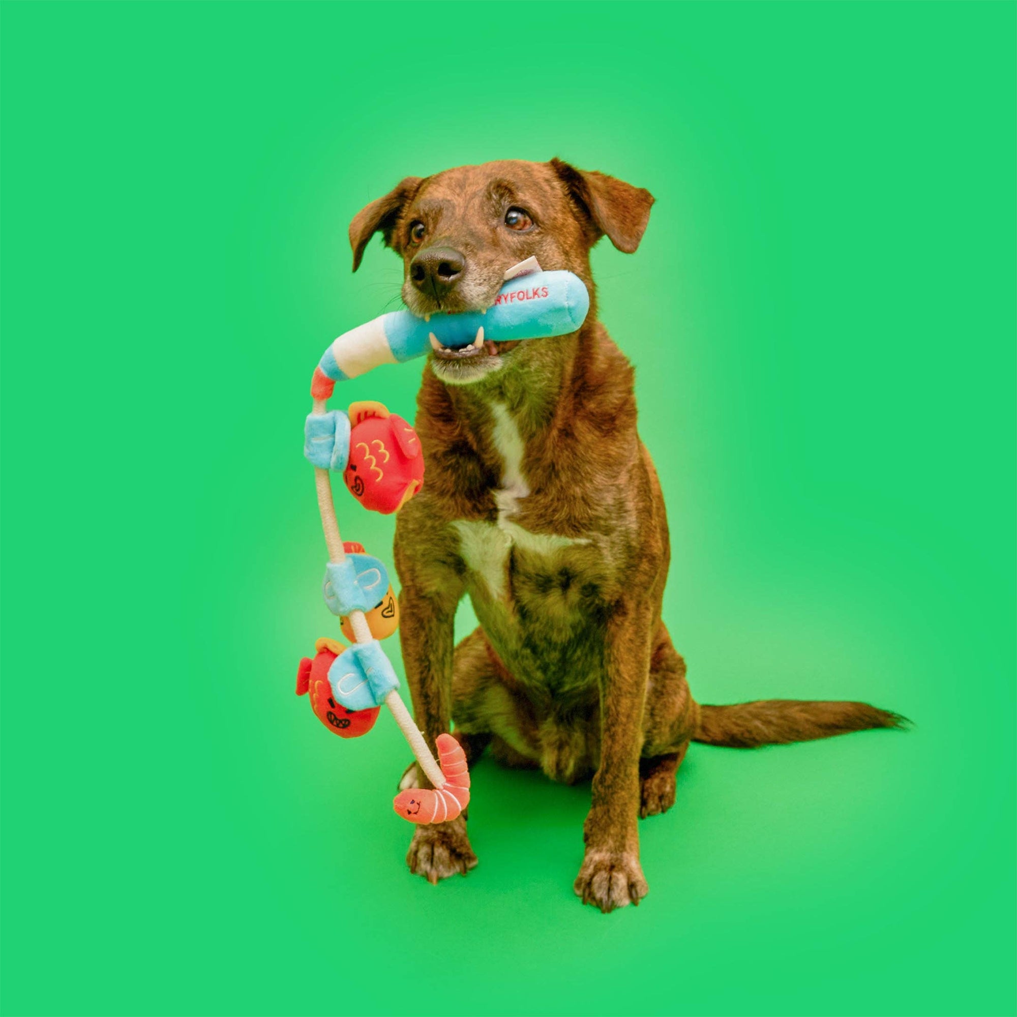 the furryfolks - Fishing Nosework & Tug Toy