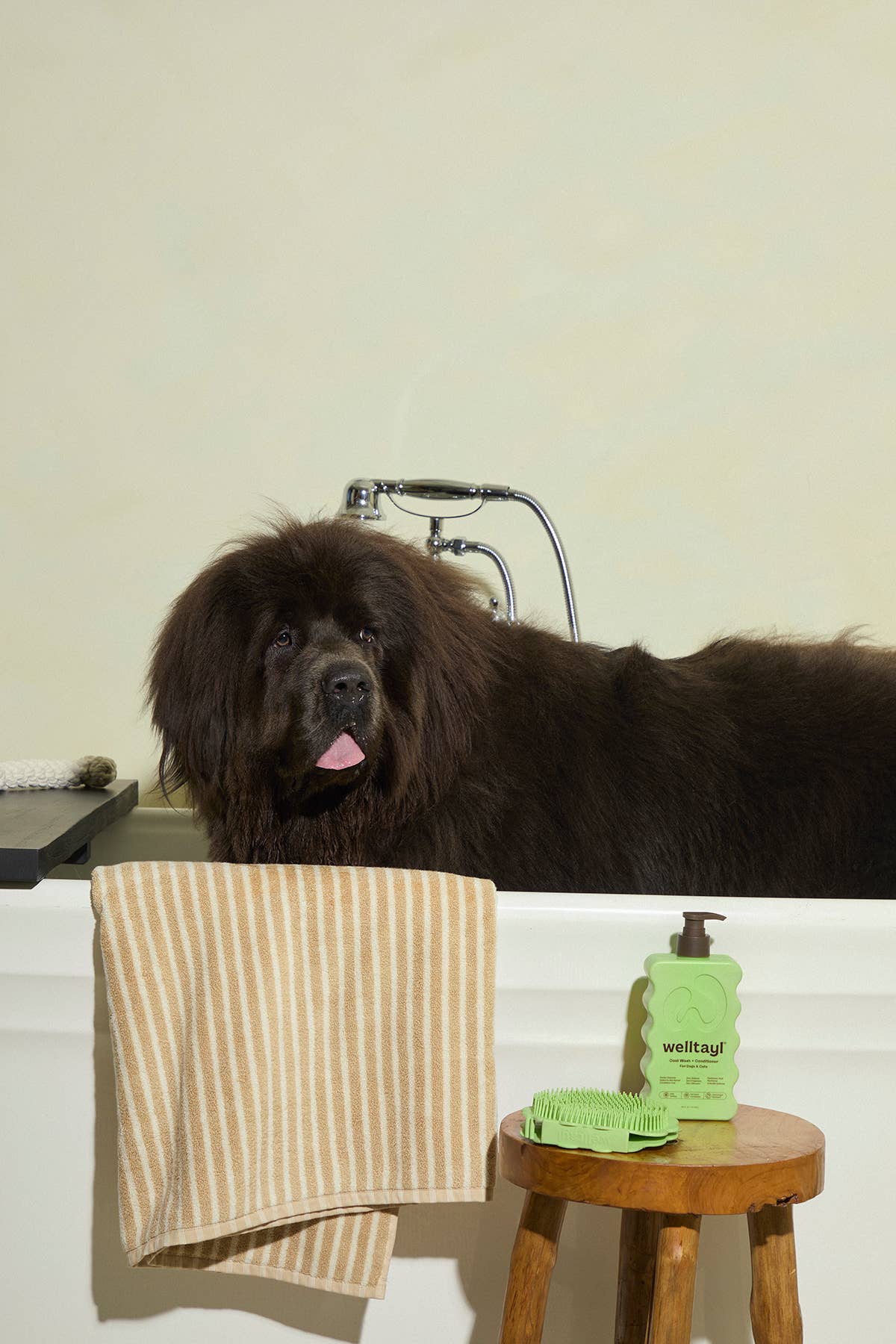 Welltayl | Dog Coat Wash + Conditioner
