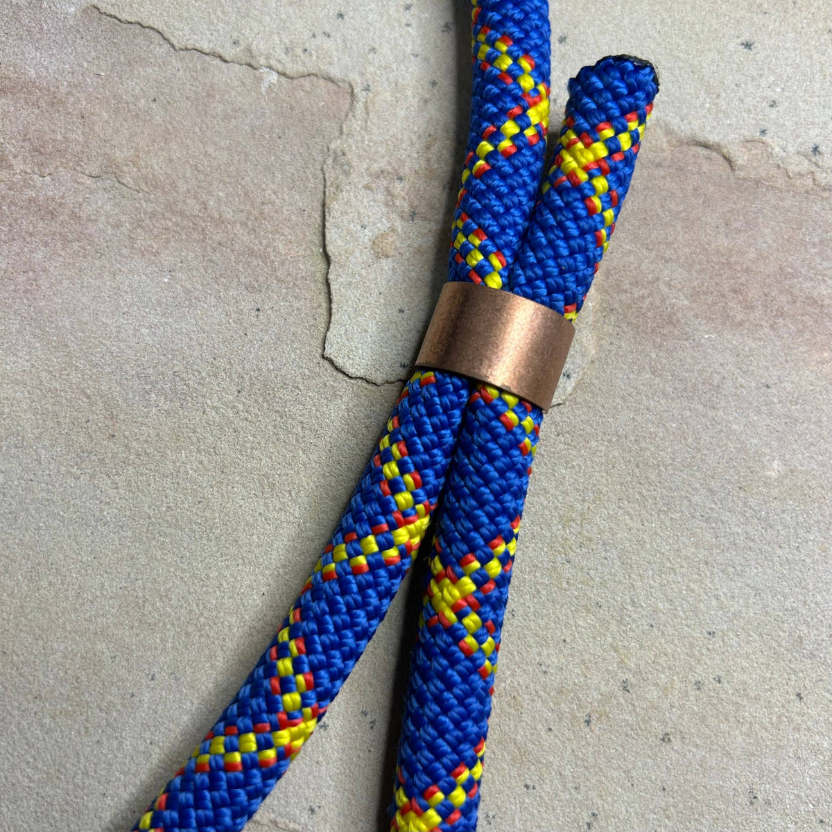 Joshua Tree Leash & Lead - New Toy (B-side)