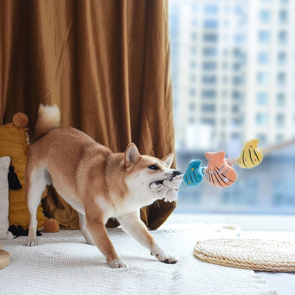 Hugsmart Products Inc - HugSmart Pet - Pirate Pups    | Shell Necklace - Rope Toy