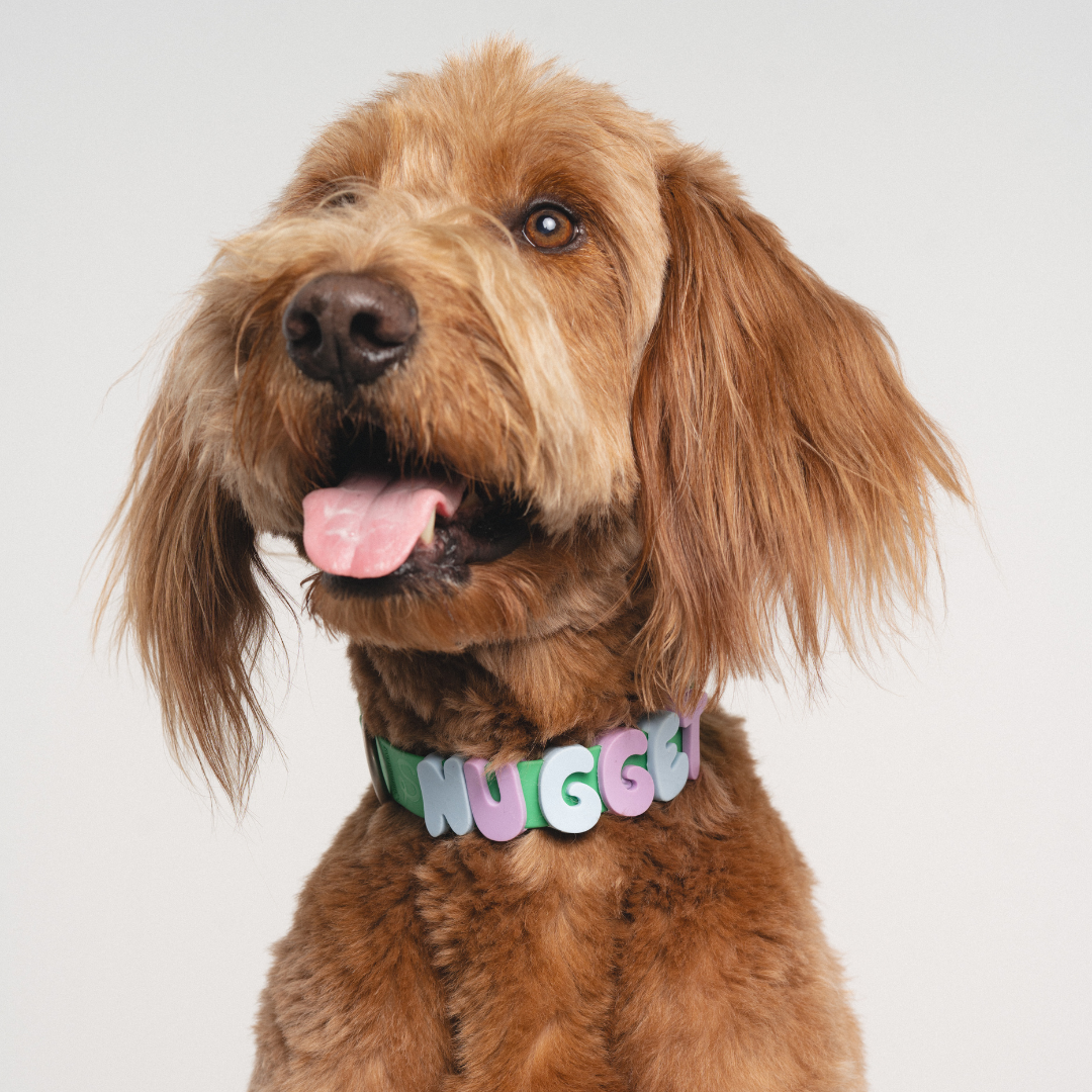 Springland Pets - Silicone Dog Charms, Personalize Pet Collar (63 Pack Assort): Lilac