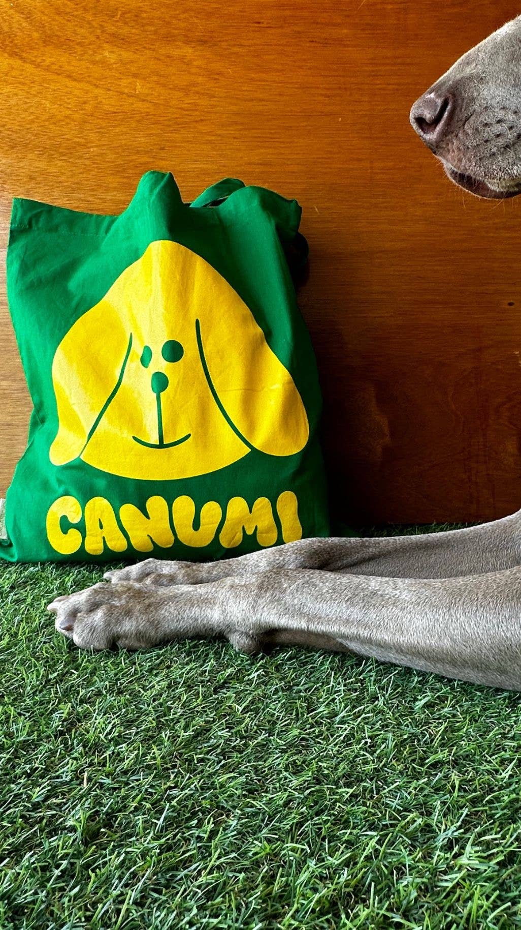Canumi - PACK Available only for the US: Englishman