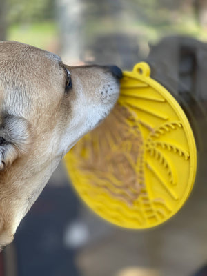 SodaPup - Sun n' Sea eMat Enrichment Lick Mat With Suction Cups: Yellow