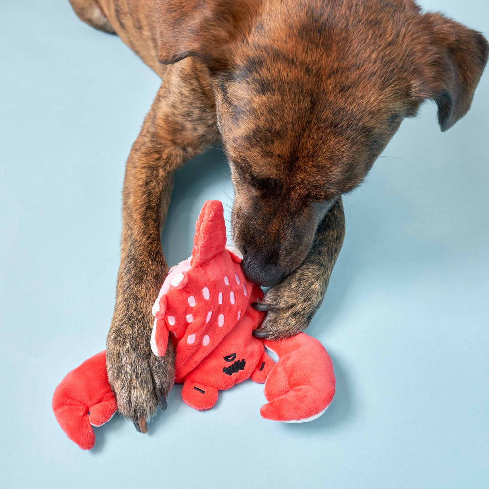 
                  
                    the furryfolks - Crab Nosework Toy
                  
                