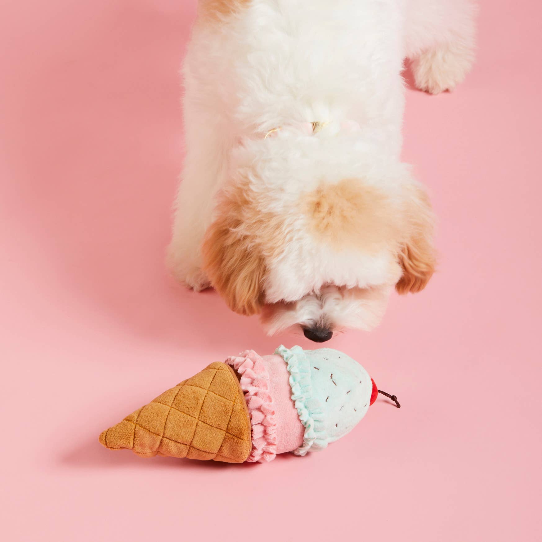 The Foggy Dog - Ice Cream Interactive 2-in-1 Bounce Dog Toy