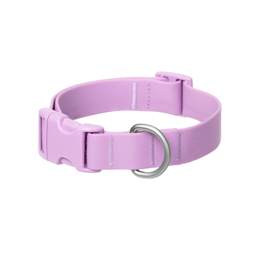 Springland Pets - Waterproof & Adjustable Dog Collar (6 Pack): Blueberry (6 Pack)