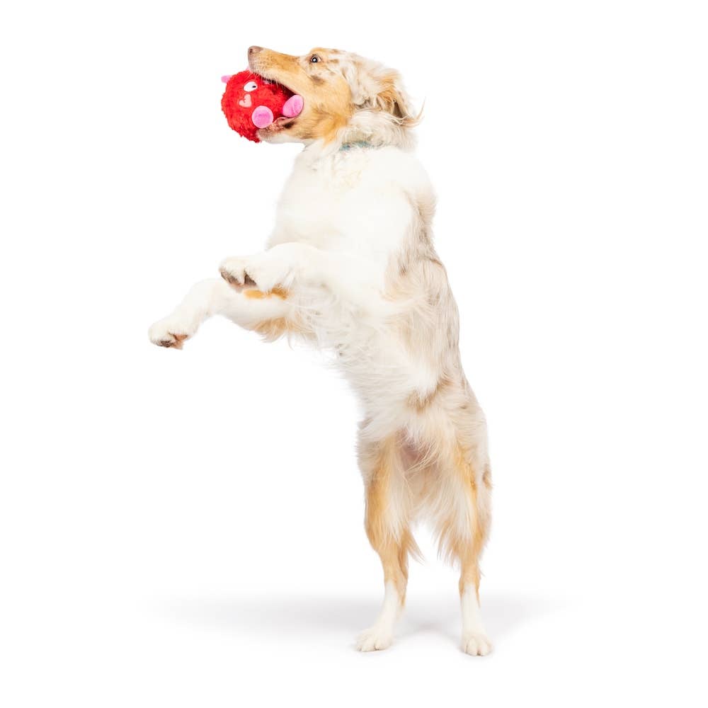 Huxley & Kent - Fur Bug Dog Toy: One Size