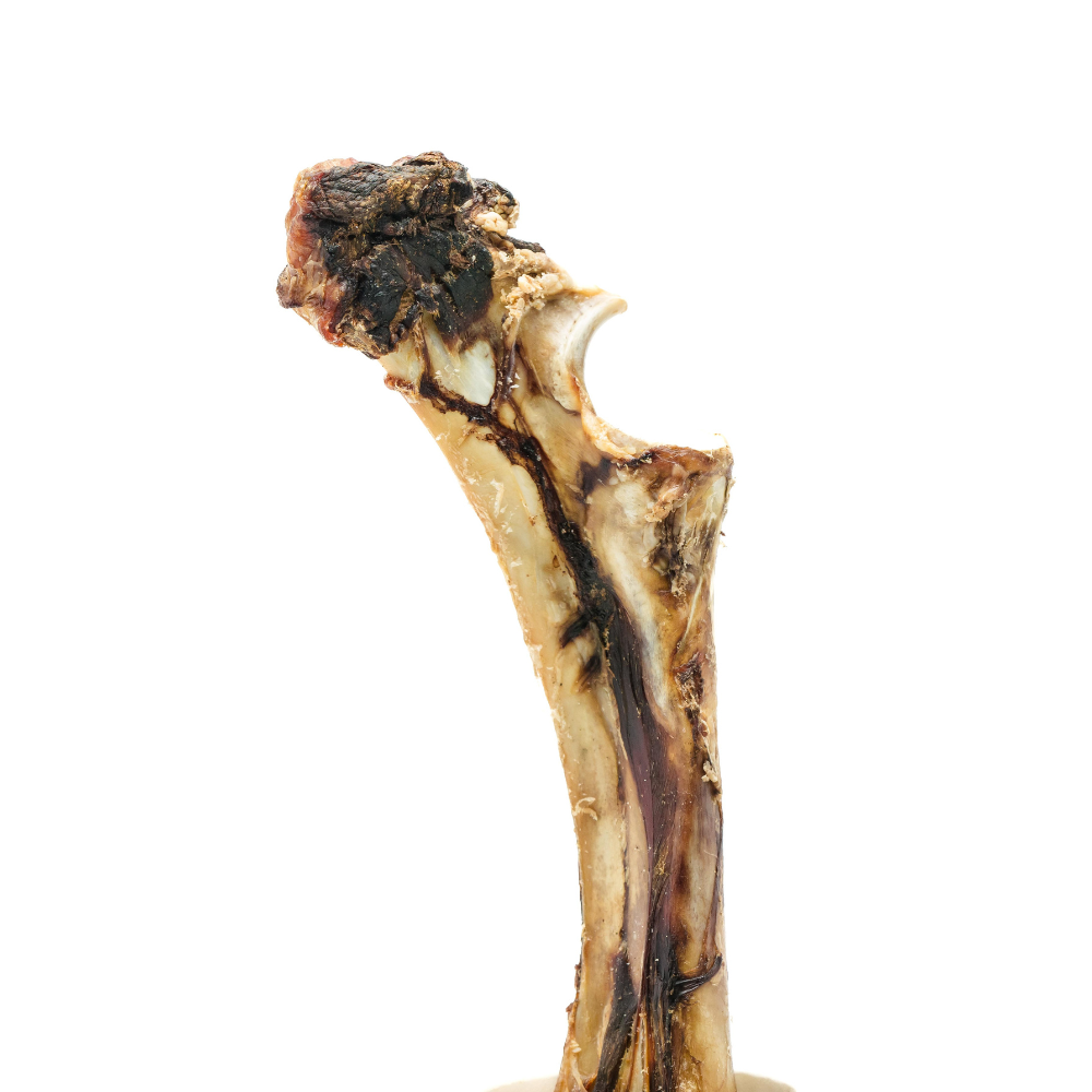 
                  
                    Wild Nosh Pets - Smoked Bison"Dino" Bones (Wholesale)
                  
                