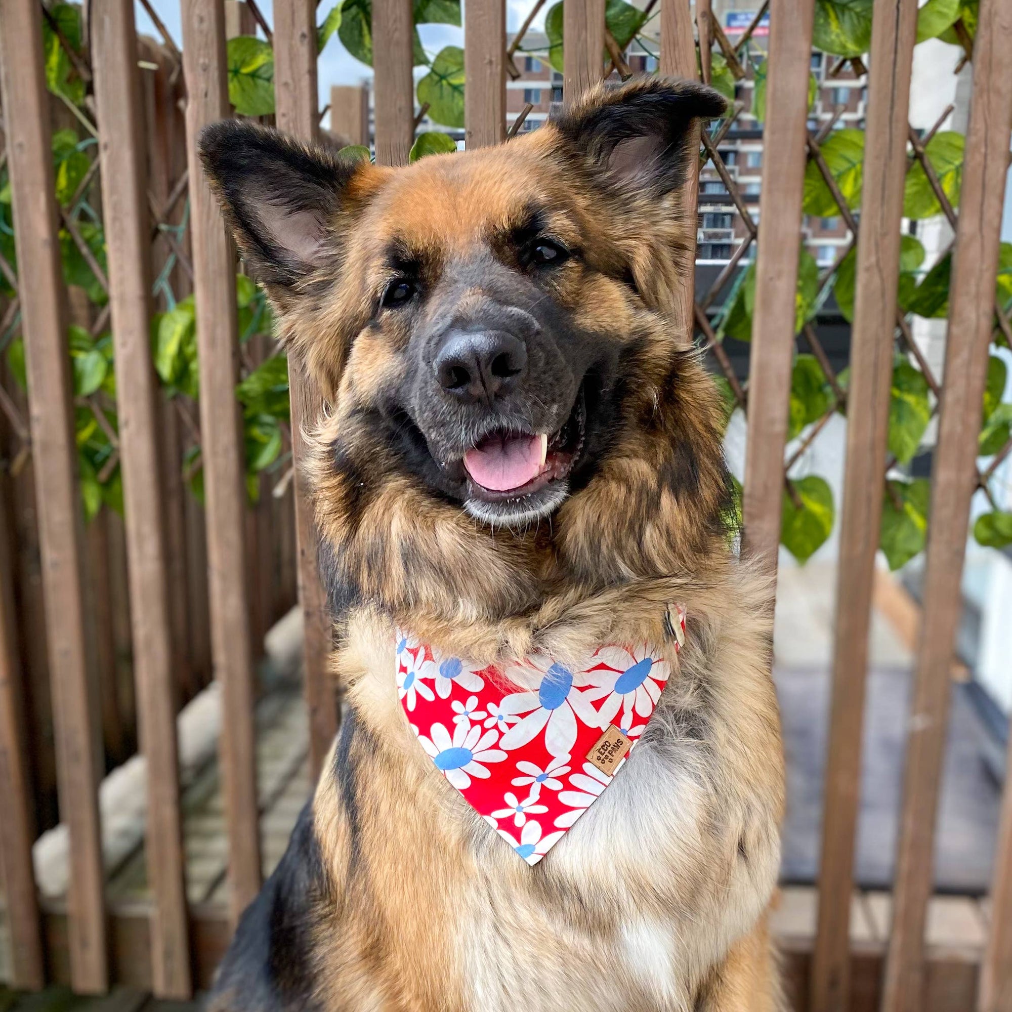 ECO4PAWS - Retro Daisies Red Bandana: S