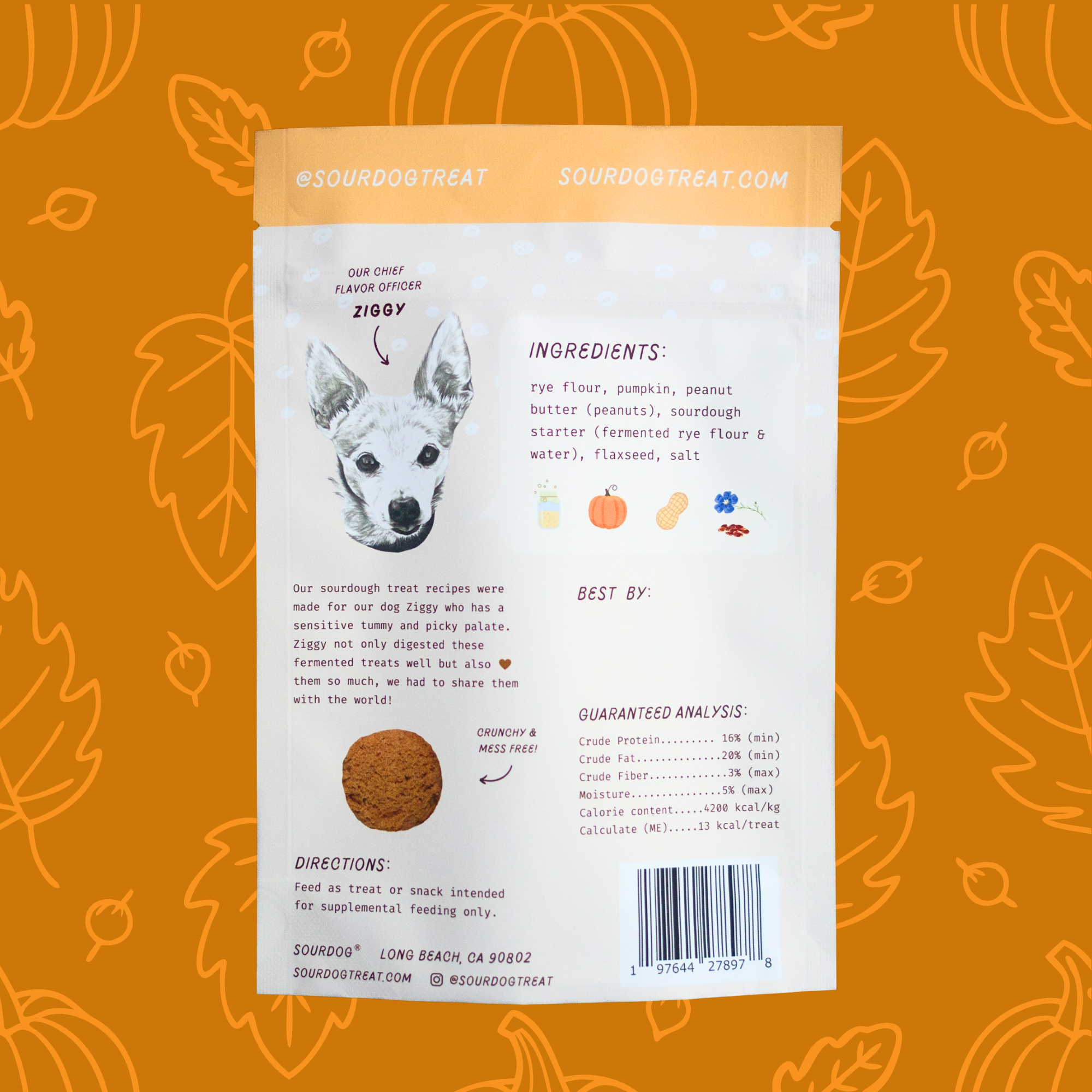 SourDog - Pupkin Pie - Pumpkin Sourdough Dog Treats