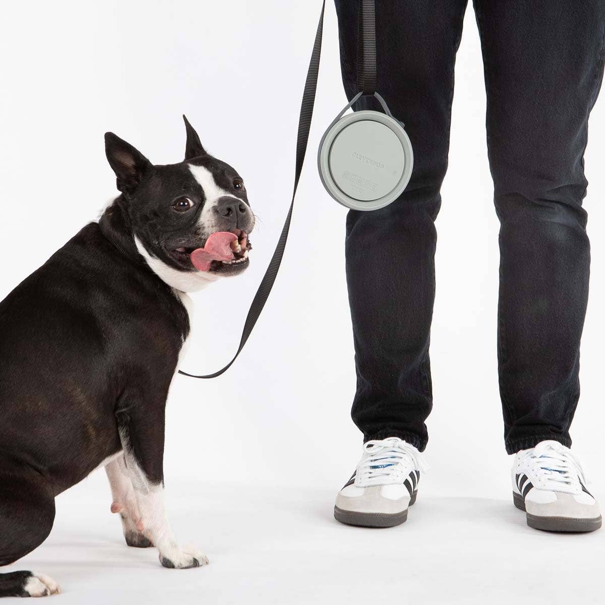 Cleverpup - Nomad Collapsible Dog Bowl (Small)