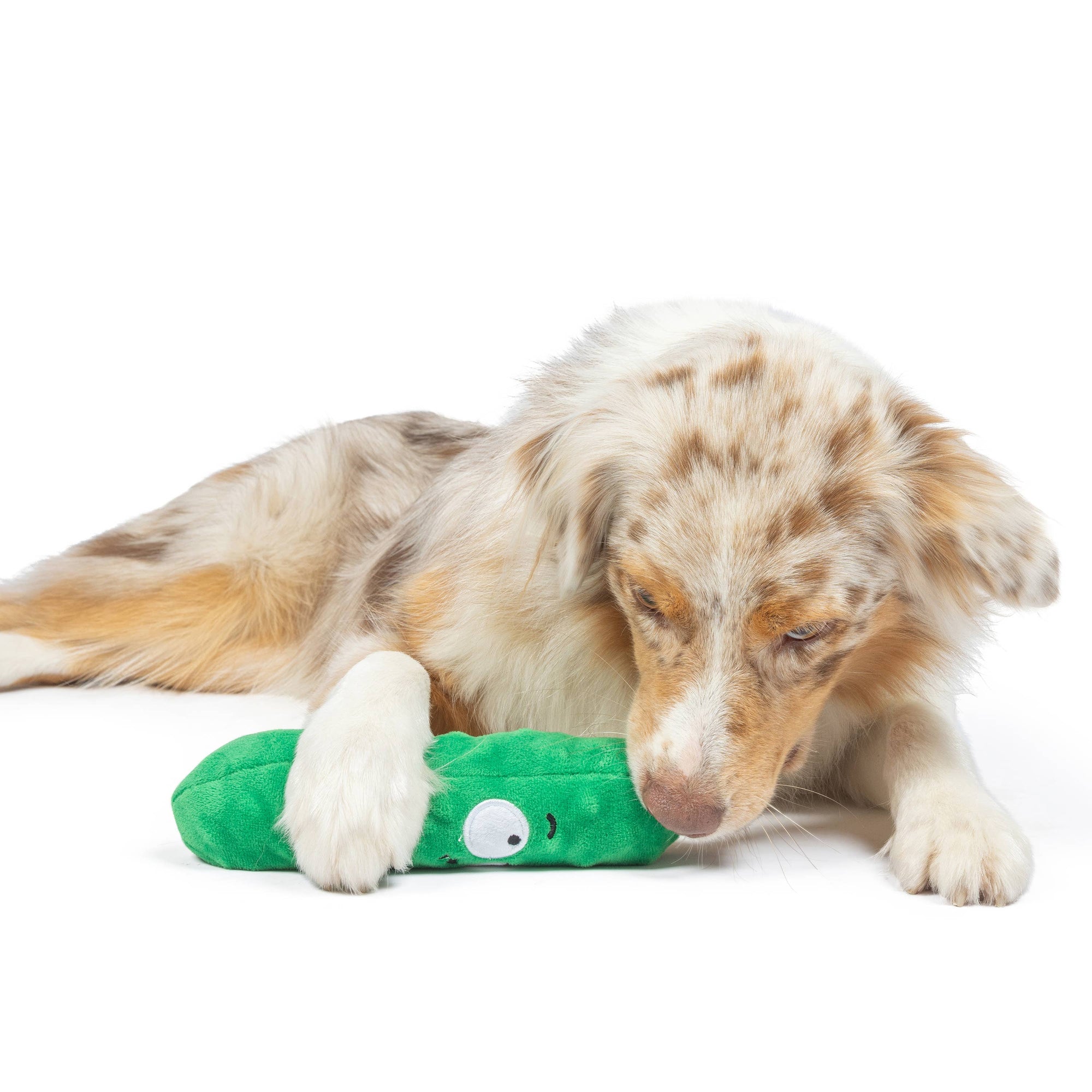 Huxley & Kent - Fetchies® Dell Pickle Dog Toy: Large
